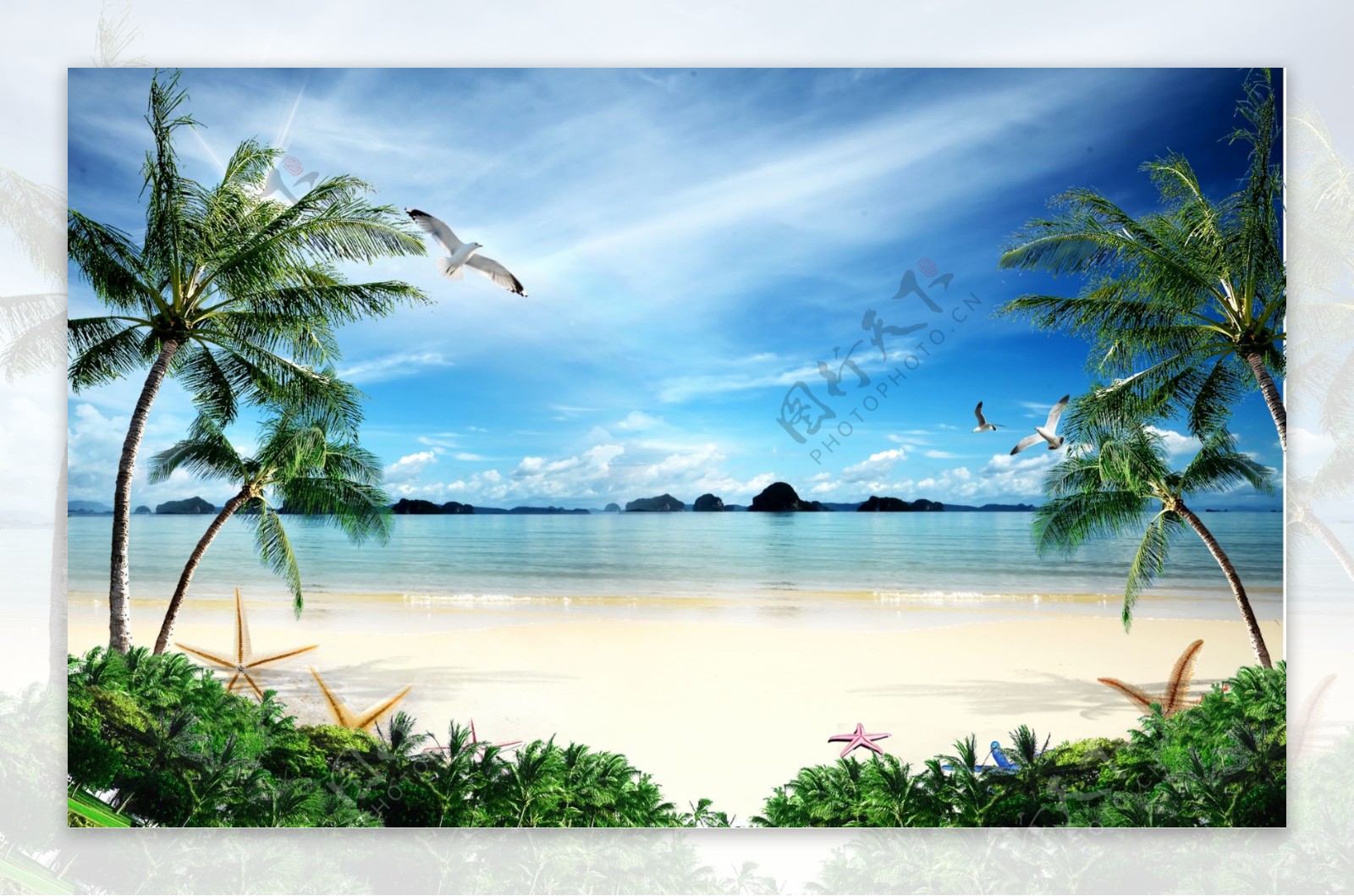 椰子树海水风景背景墙