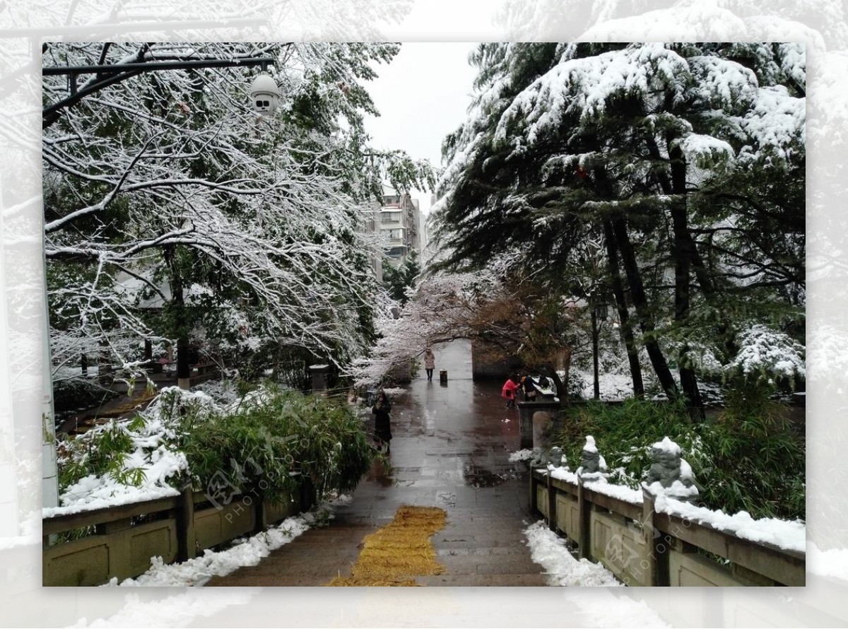 城市雪景