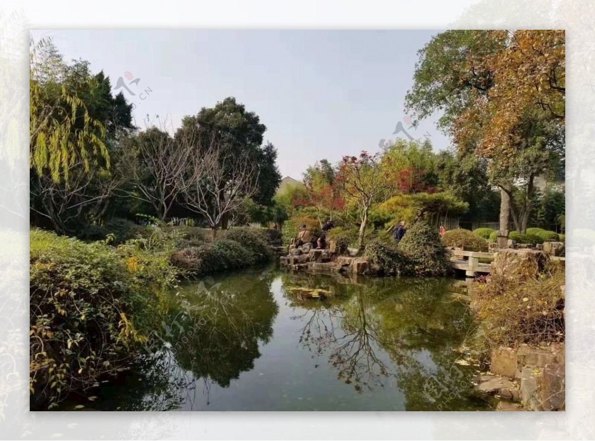 绿树水塘风景