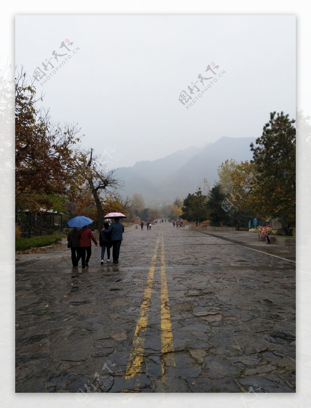 雨天的公园风景