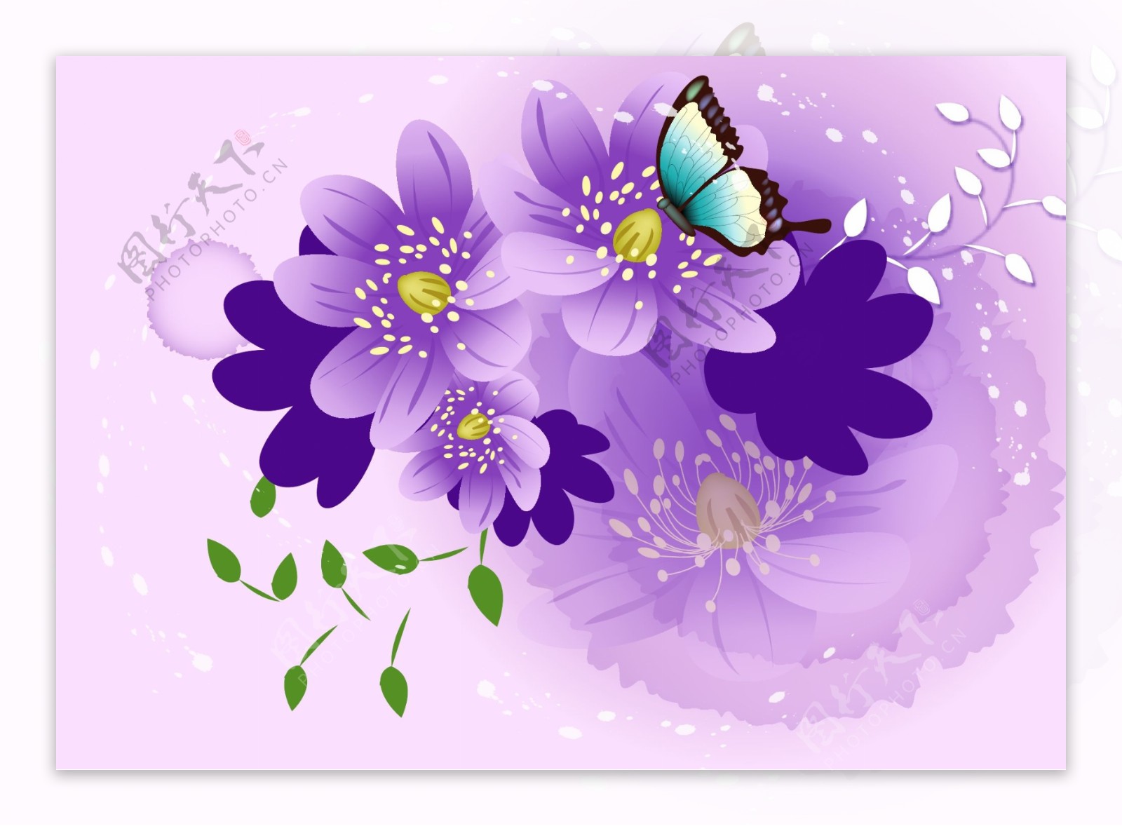 紫色花蓝色蝴蝶