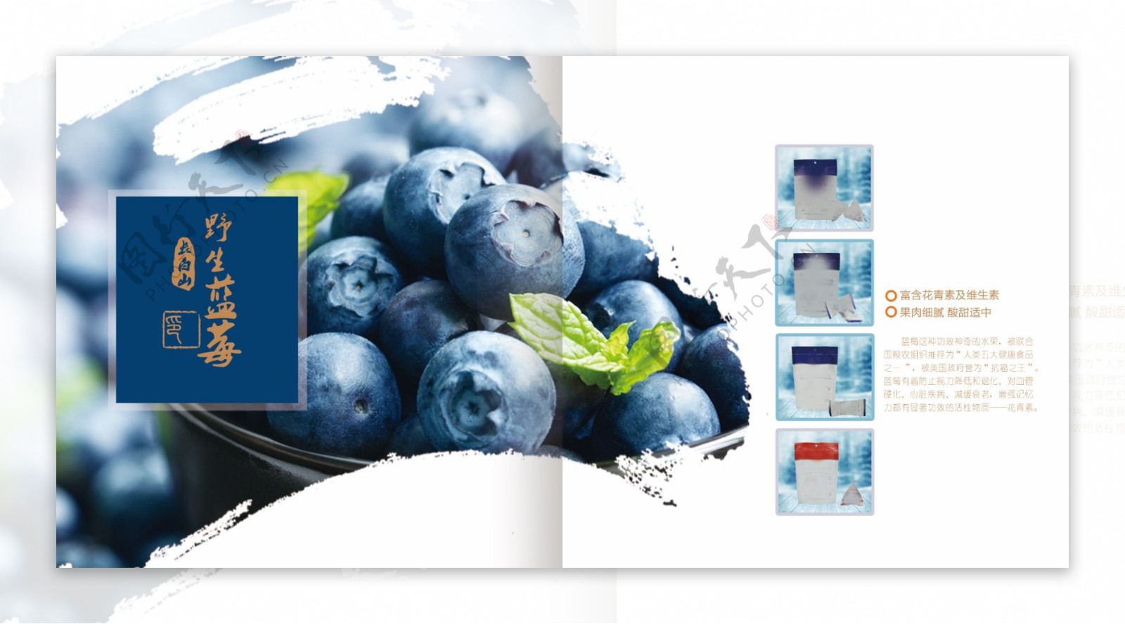 蓝莓产品画册单页