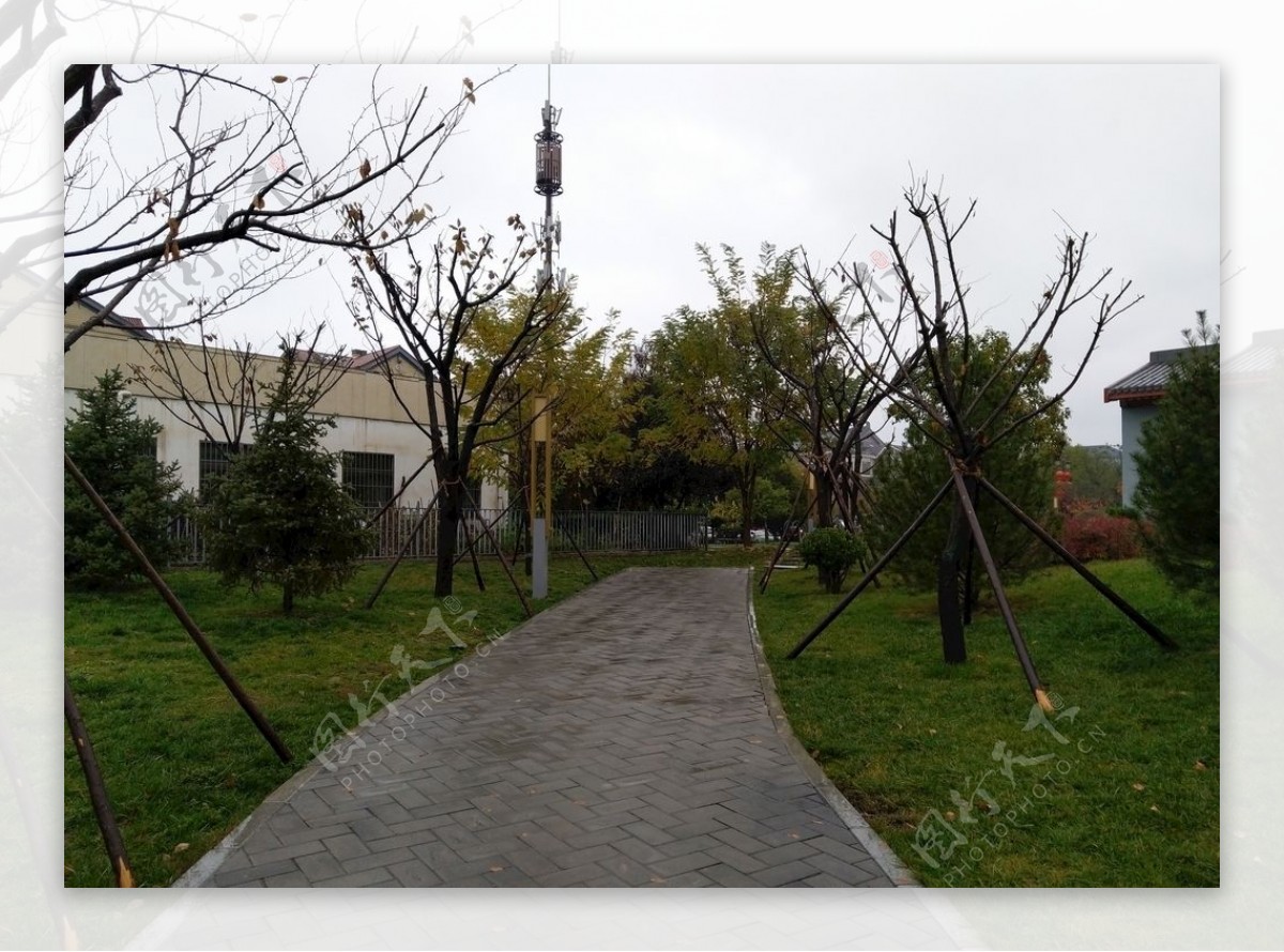 雨天的公园风景