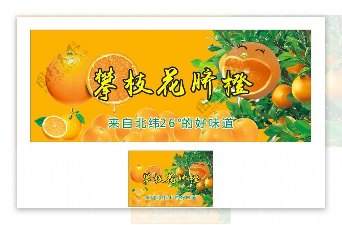 攀枝花脐橙水果广告宣传