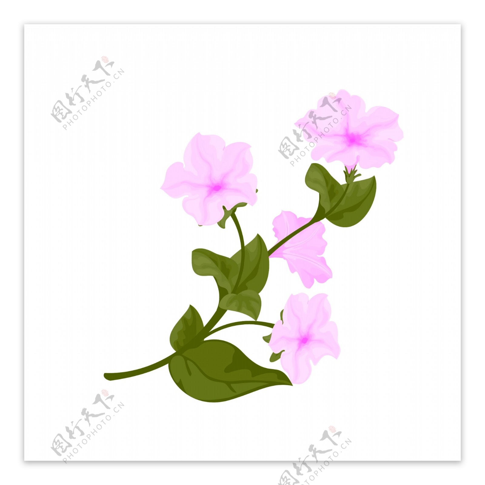 手绘写实风装饰植物粉色喇叭花卉