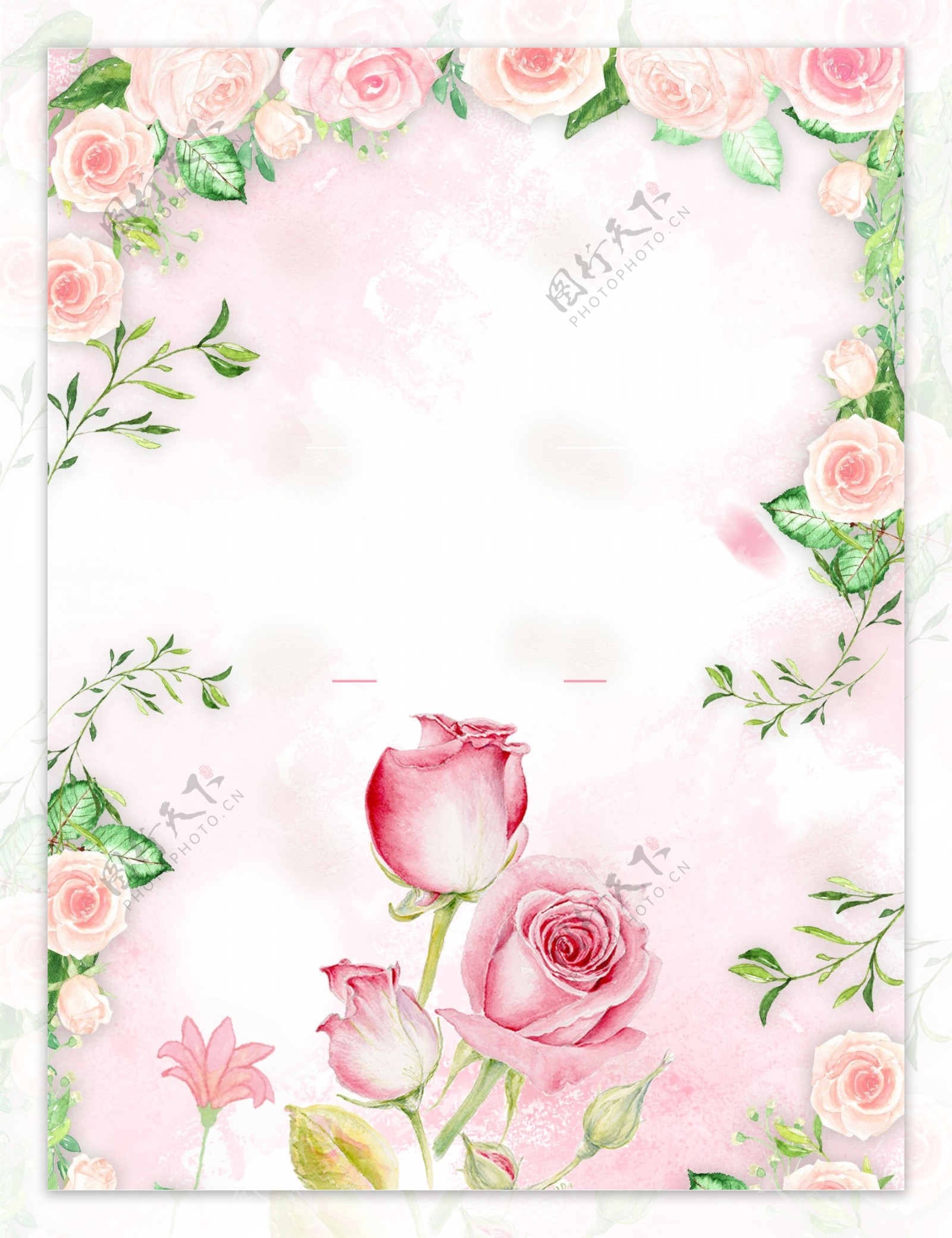 盛开粉色玫瑰花广告背景