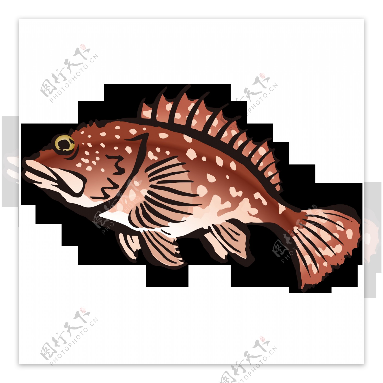 棕色绘画石斑鱼