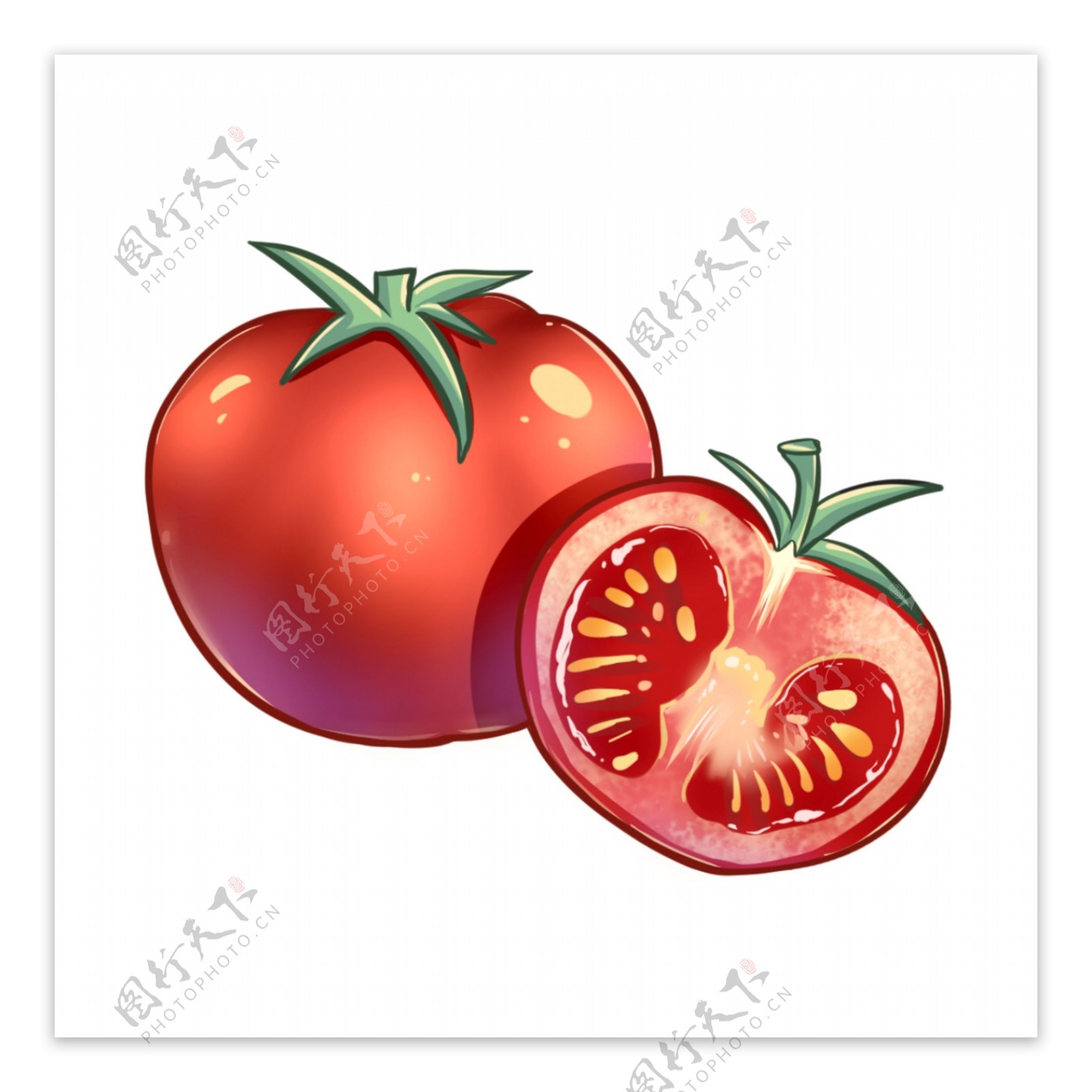 手绘西红柿蔬菜插画