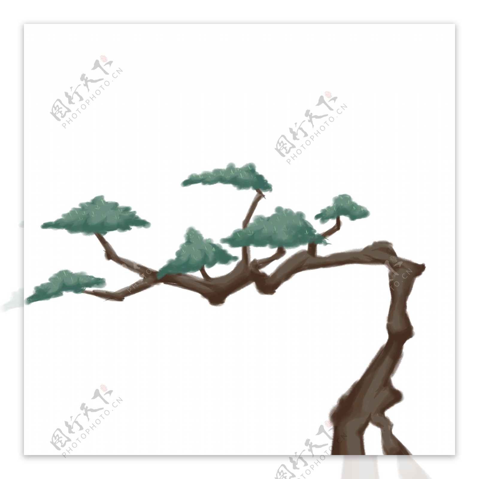 中国风水墨松树插画