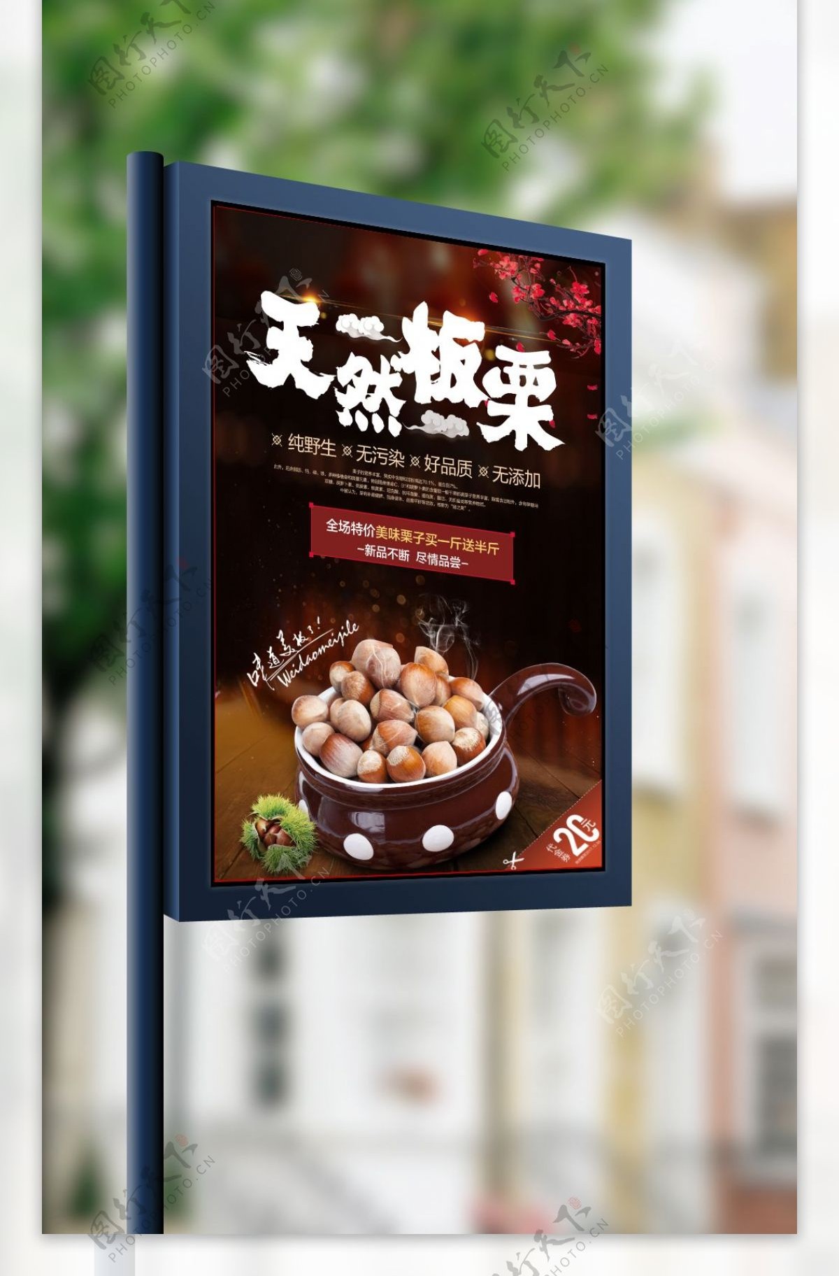 中国风板栗宣传海报设计模板