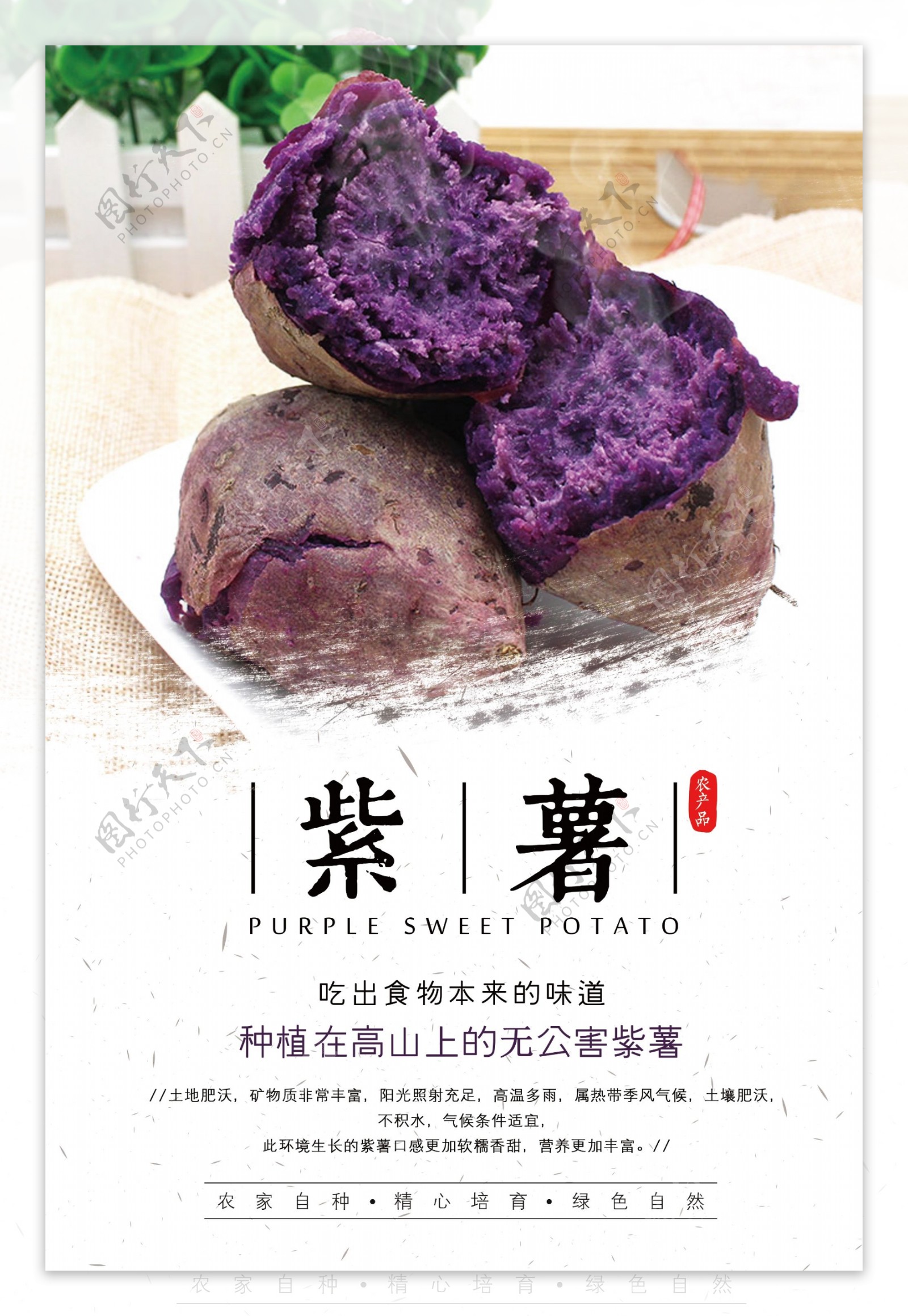 紫薯吃出食物本来的味道
