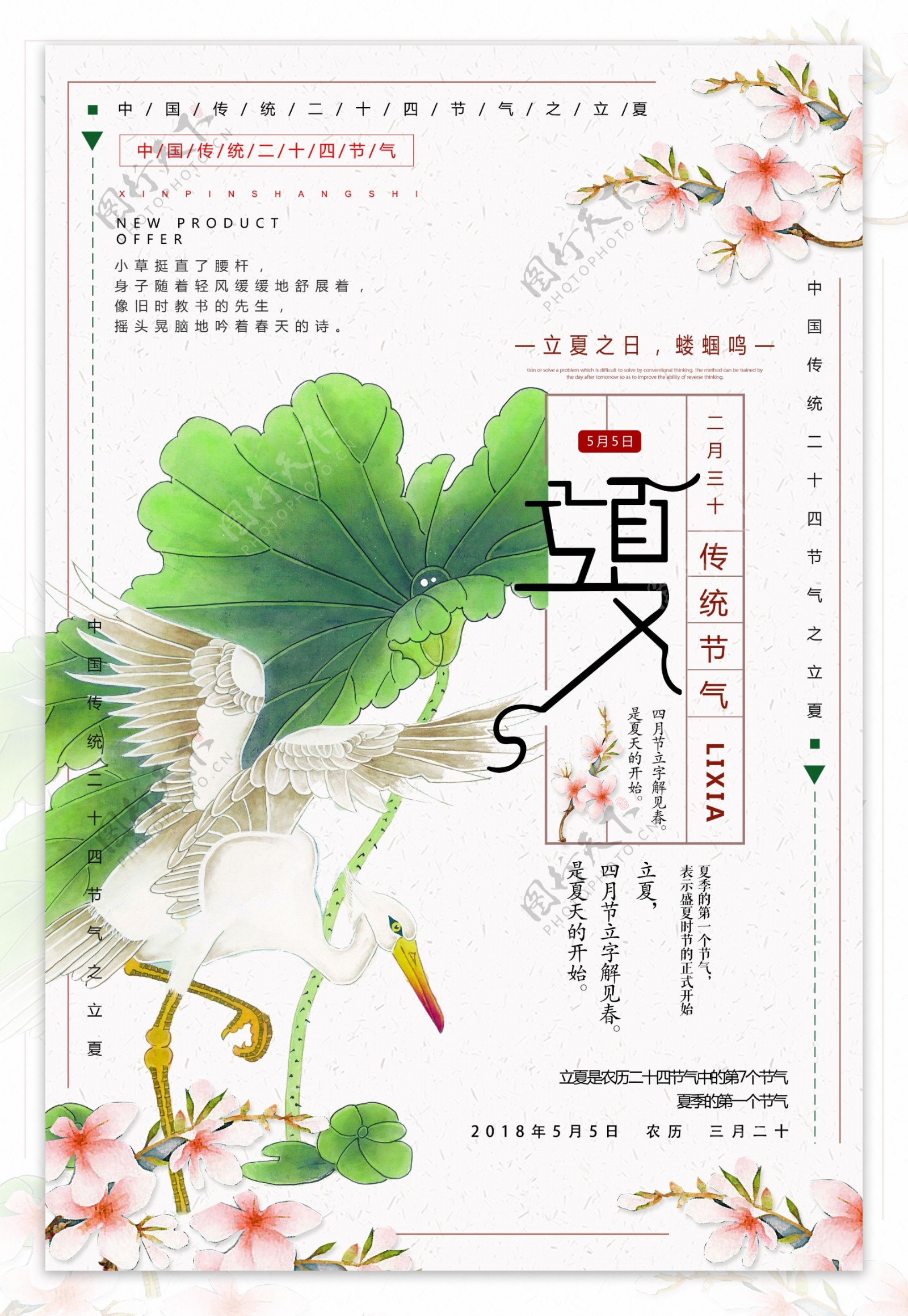 中国风立夏二十四节气海报设计免费模板