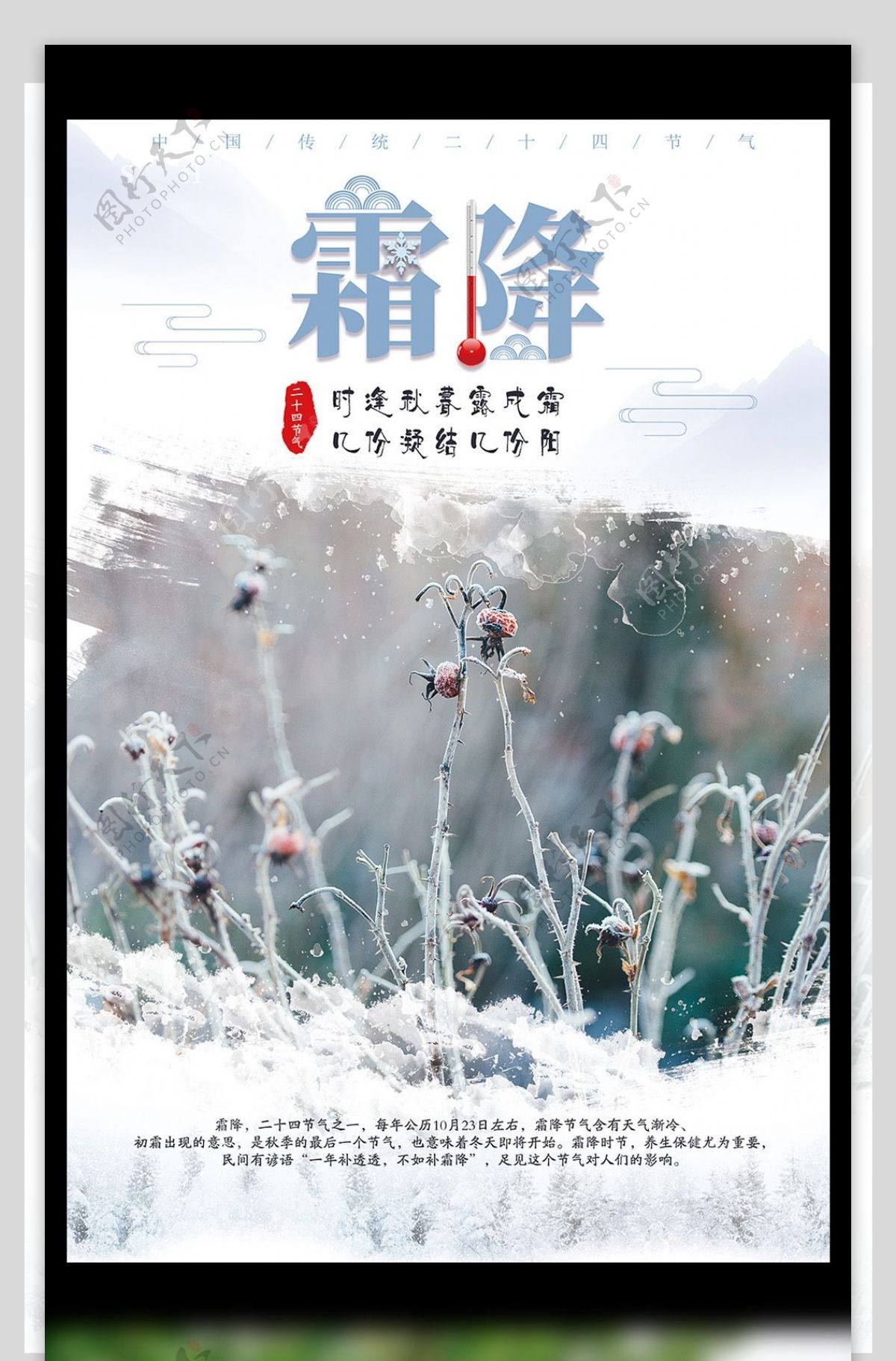 中国传统24节气霜降节气宣传海报