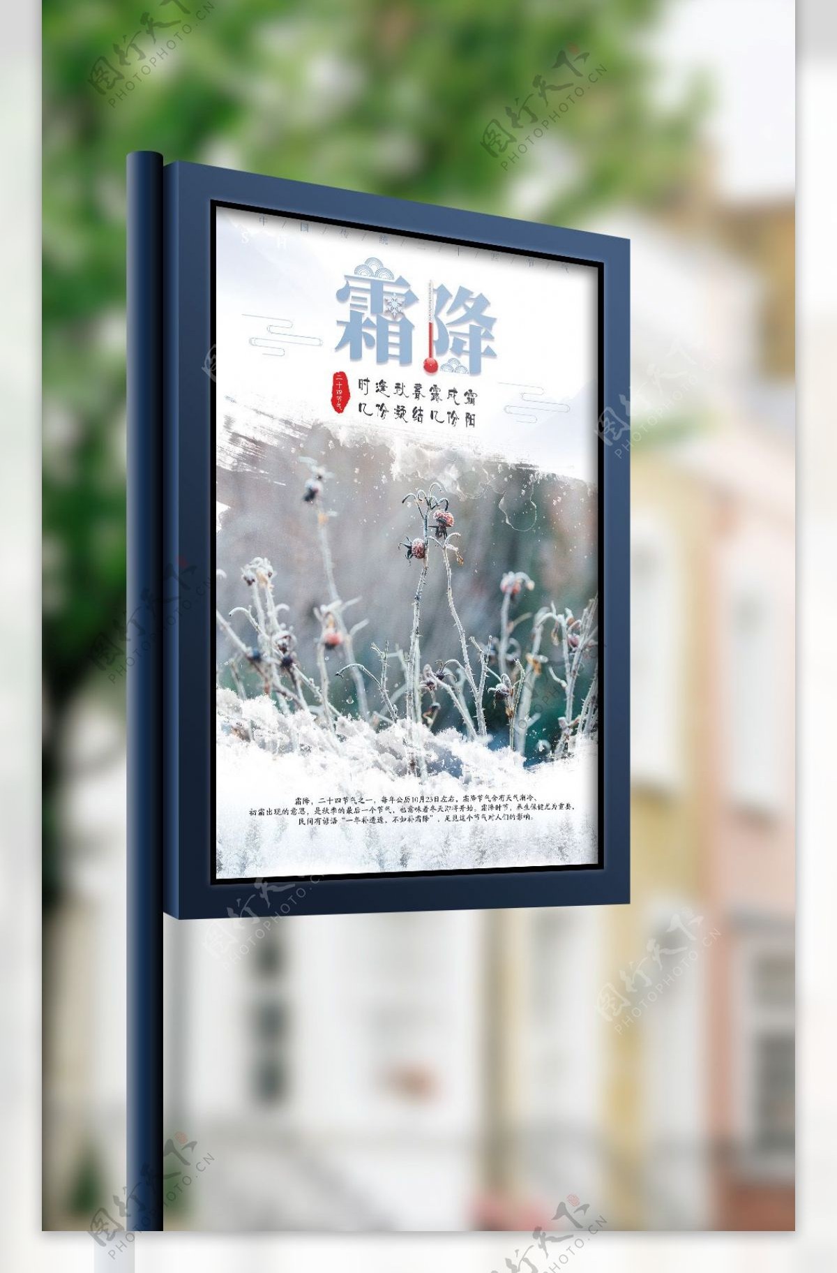 中国传统24节气霜降节气宣传海报