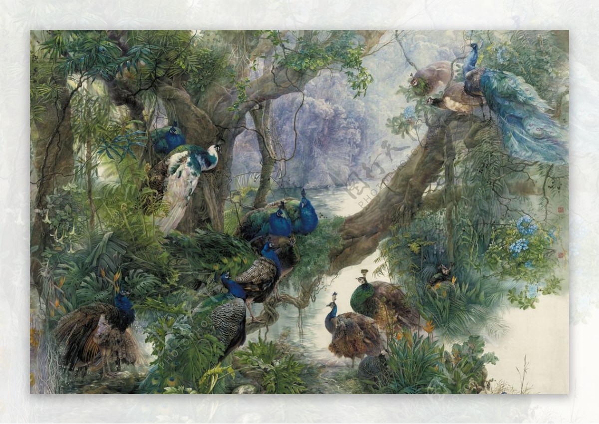 树叶树林小鸟孔雀油画