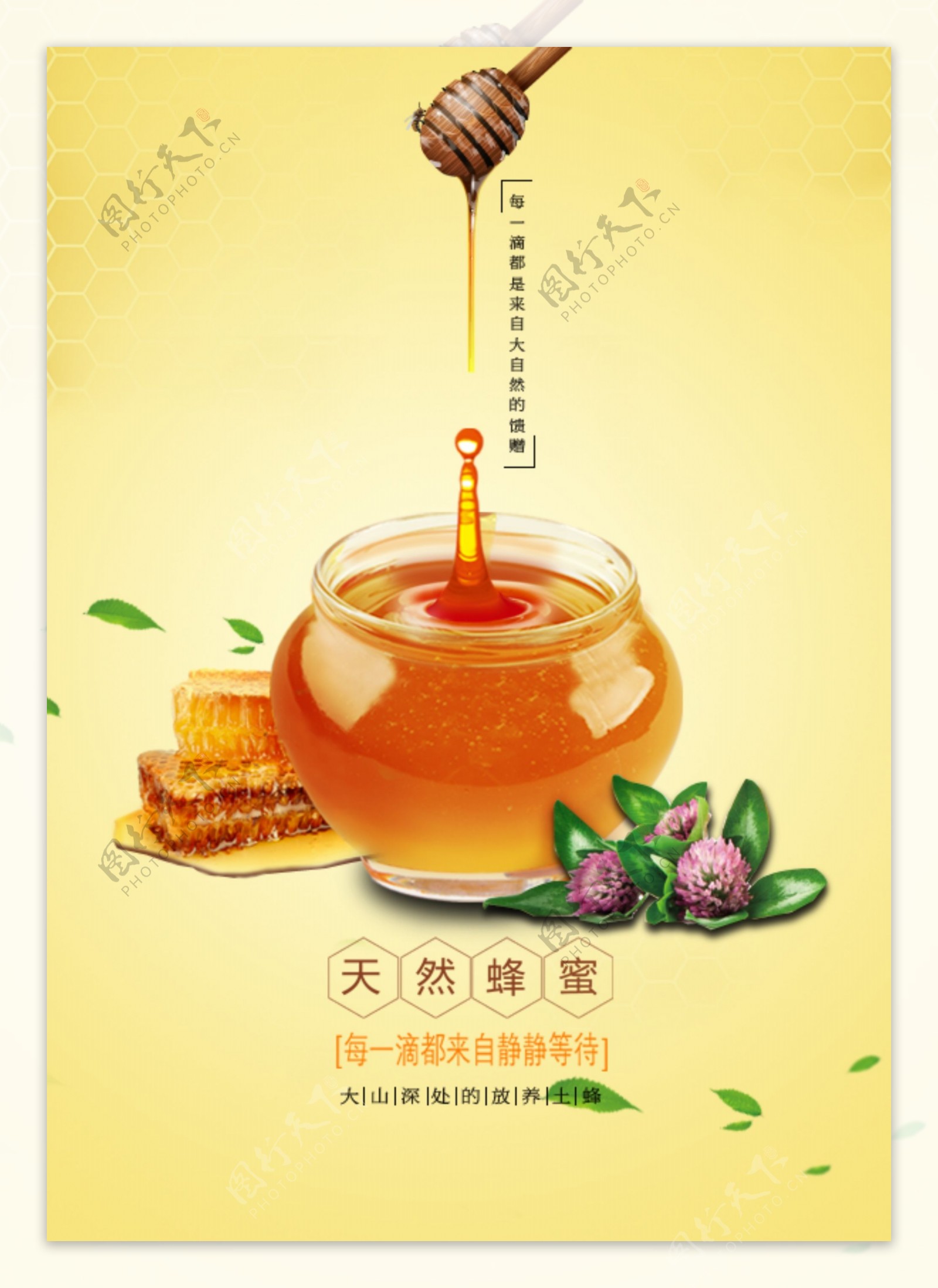 蜂蜜促销宣传海报