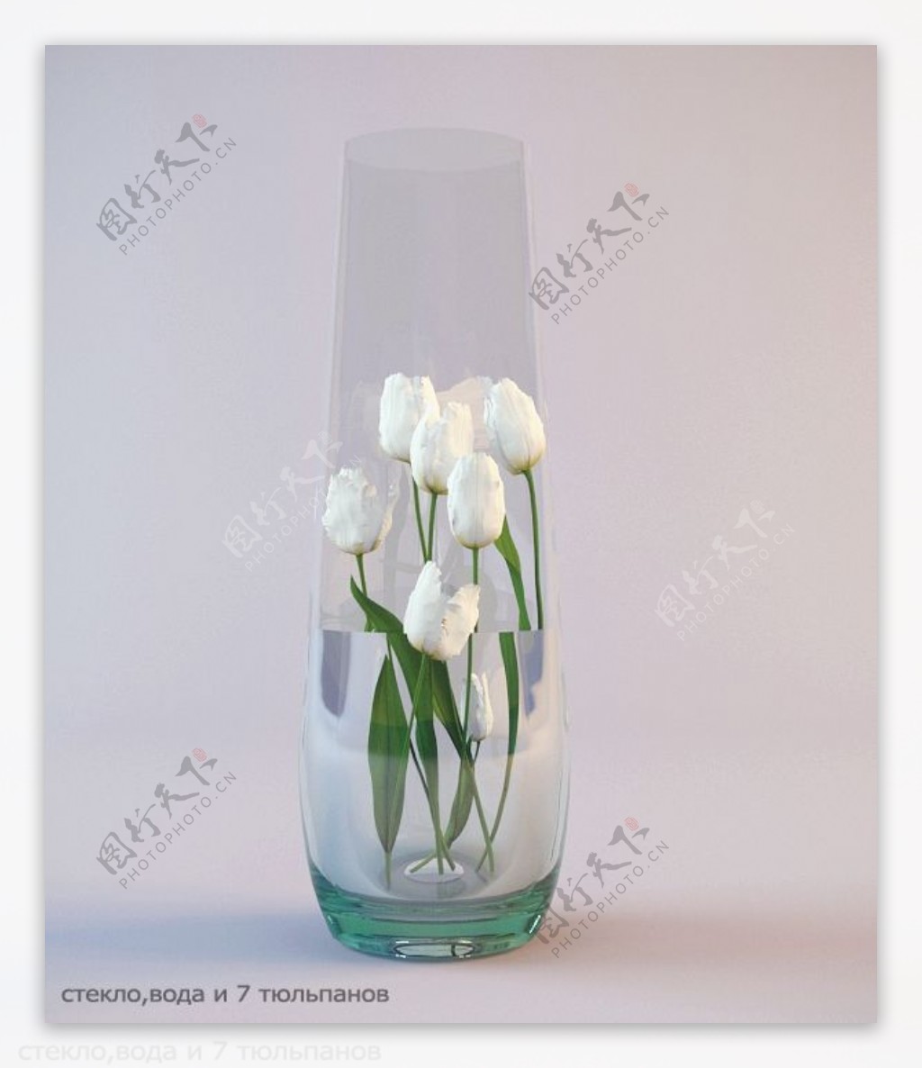 白色艺术花朵3d模型