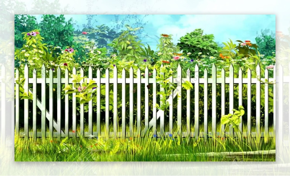 篱笆里植物生长清新视频素材