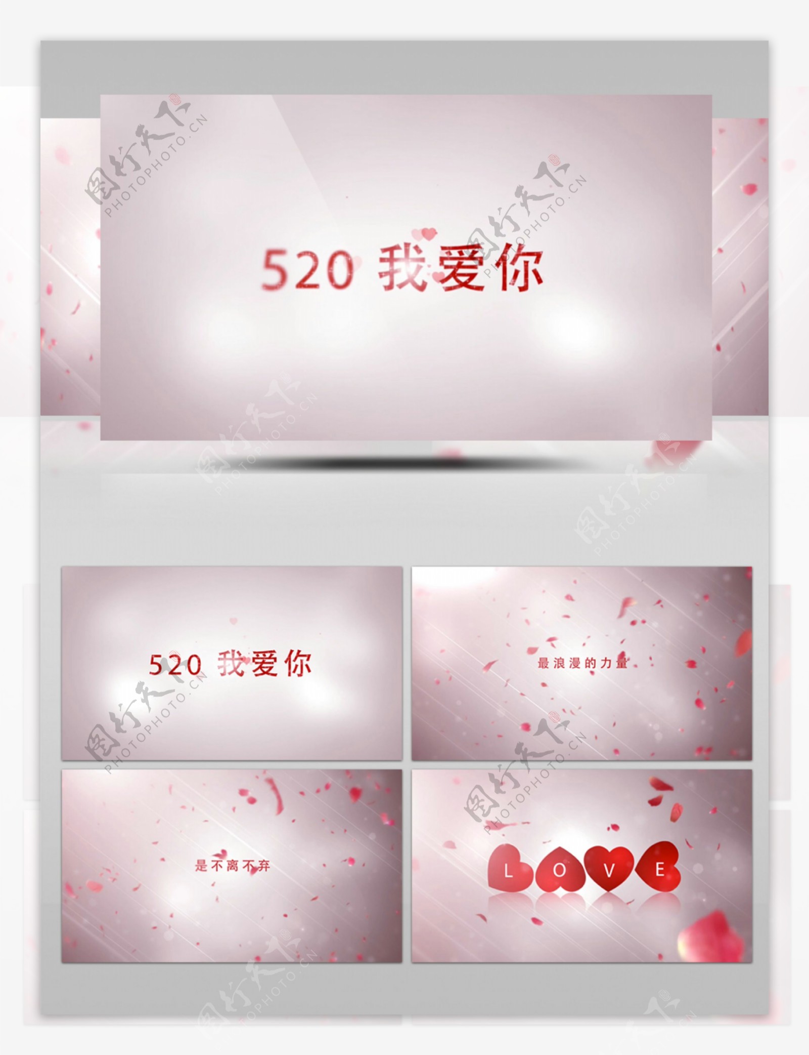 520浪漫玫瑰花瓣飘舞告白ae模板文件夹