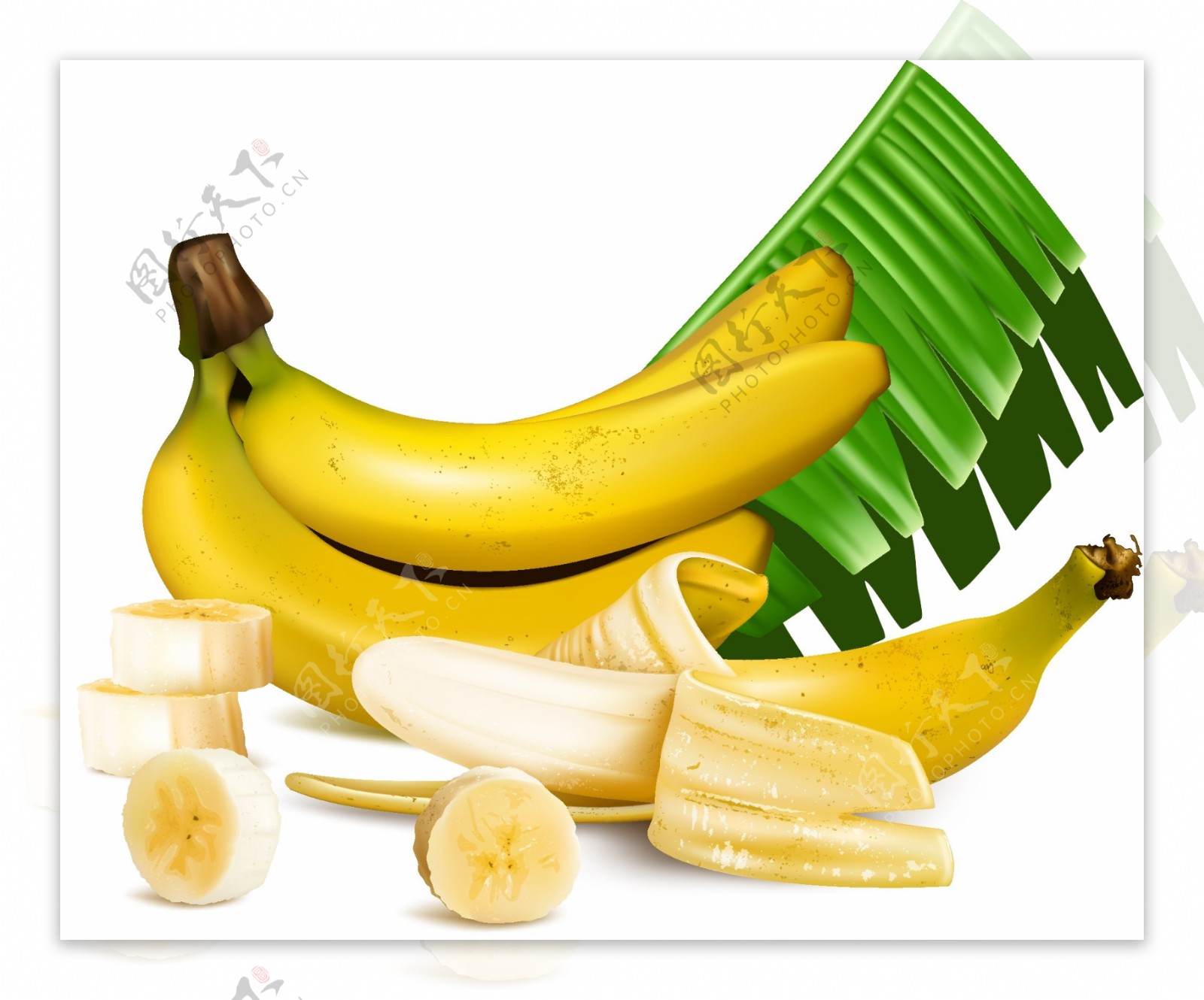 香蕉矢量装饰素材