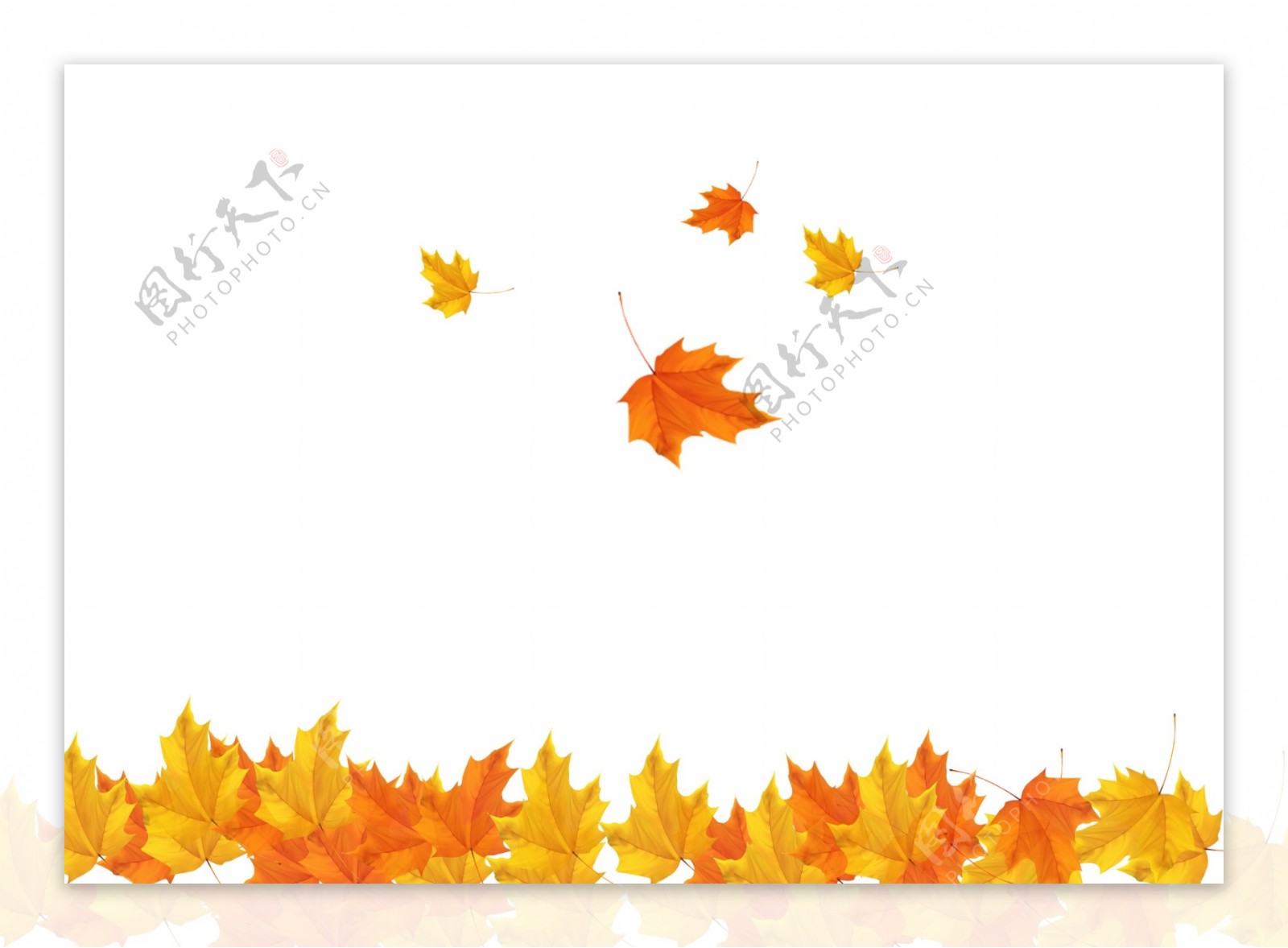 金色秋季树叶装饰元素