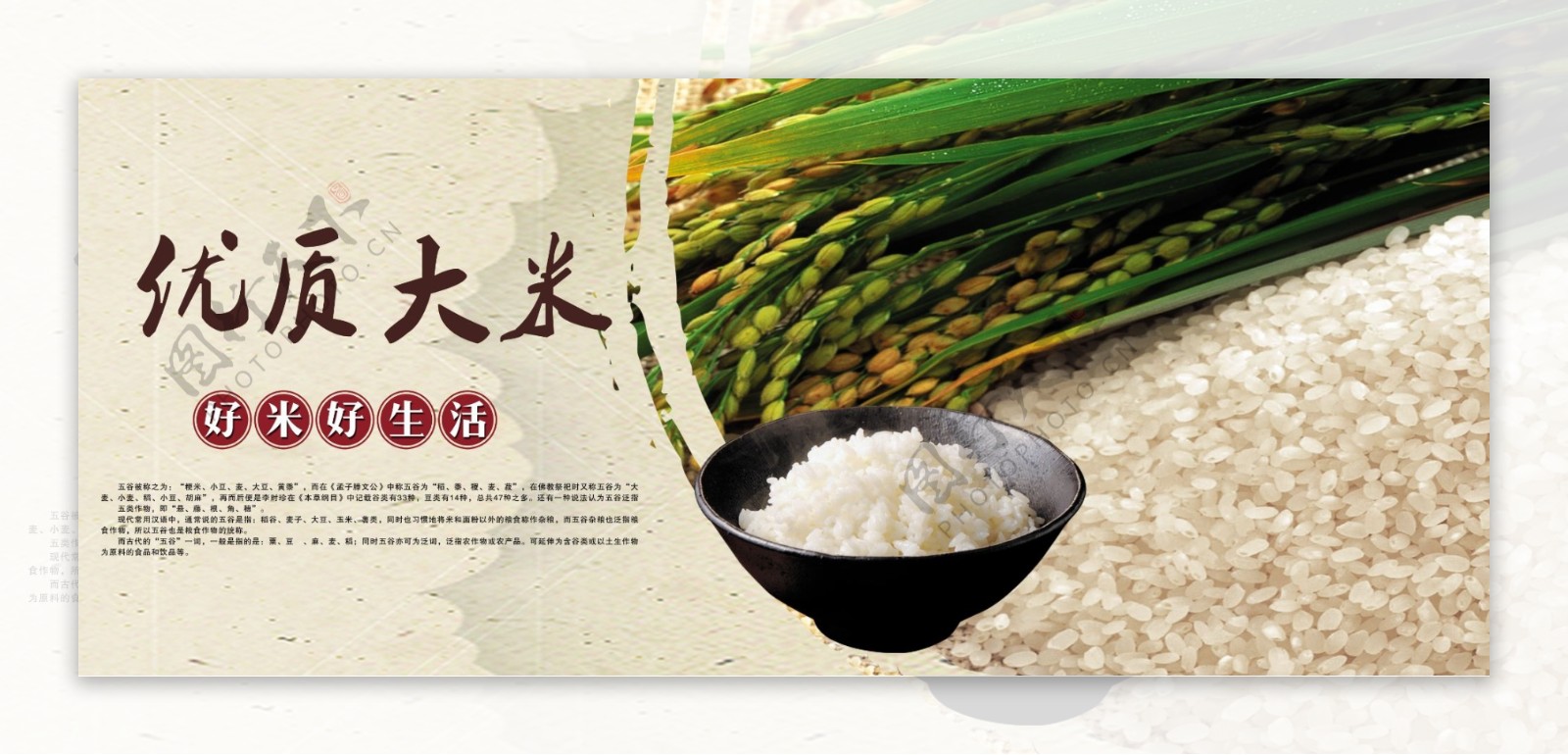 大米优质大米
