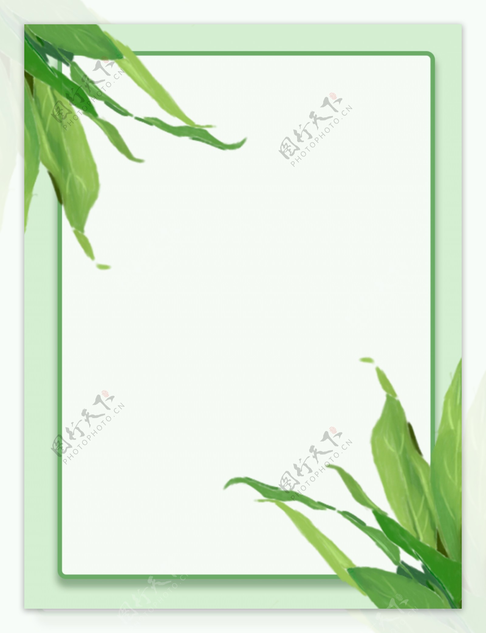 纯手绘植物写实风简洁边框背景