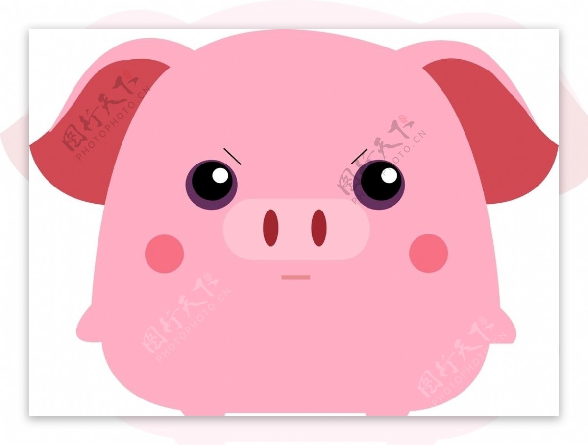 猪卡通猪可爱猪封面画册