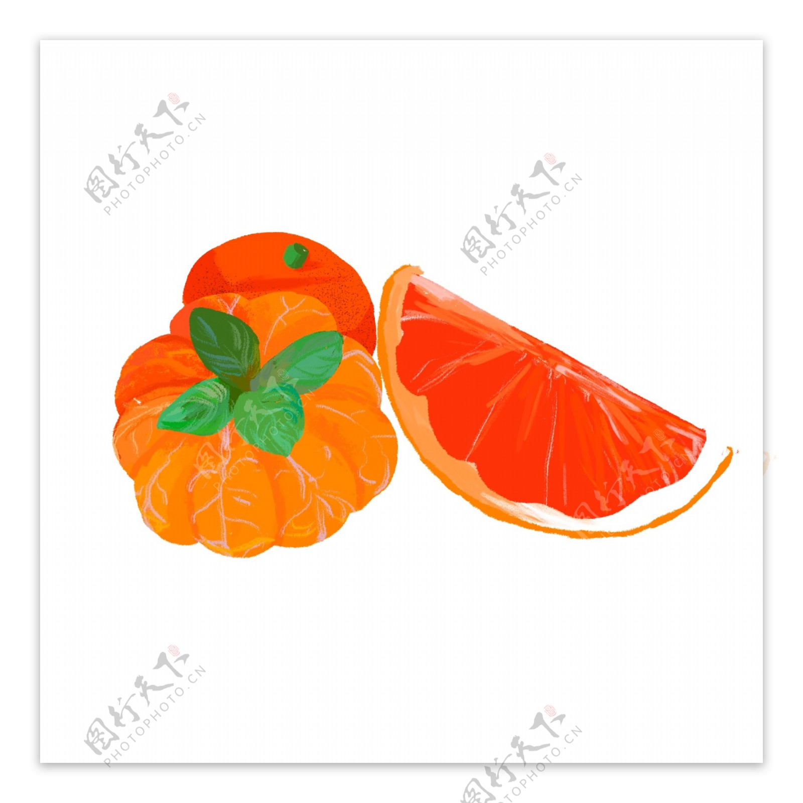 卡通手绘橘子可商用元素设计