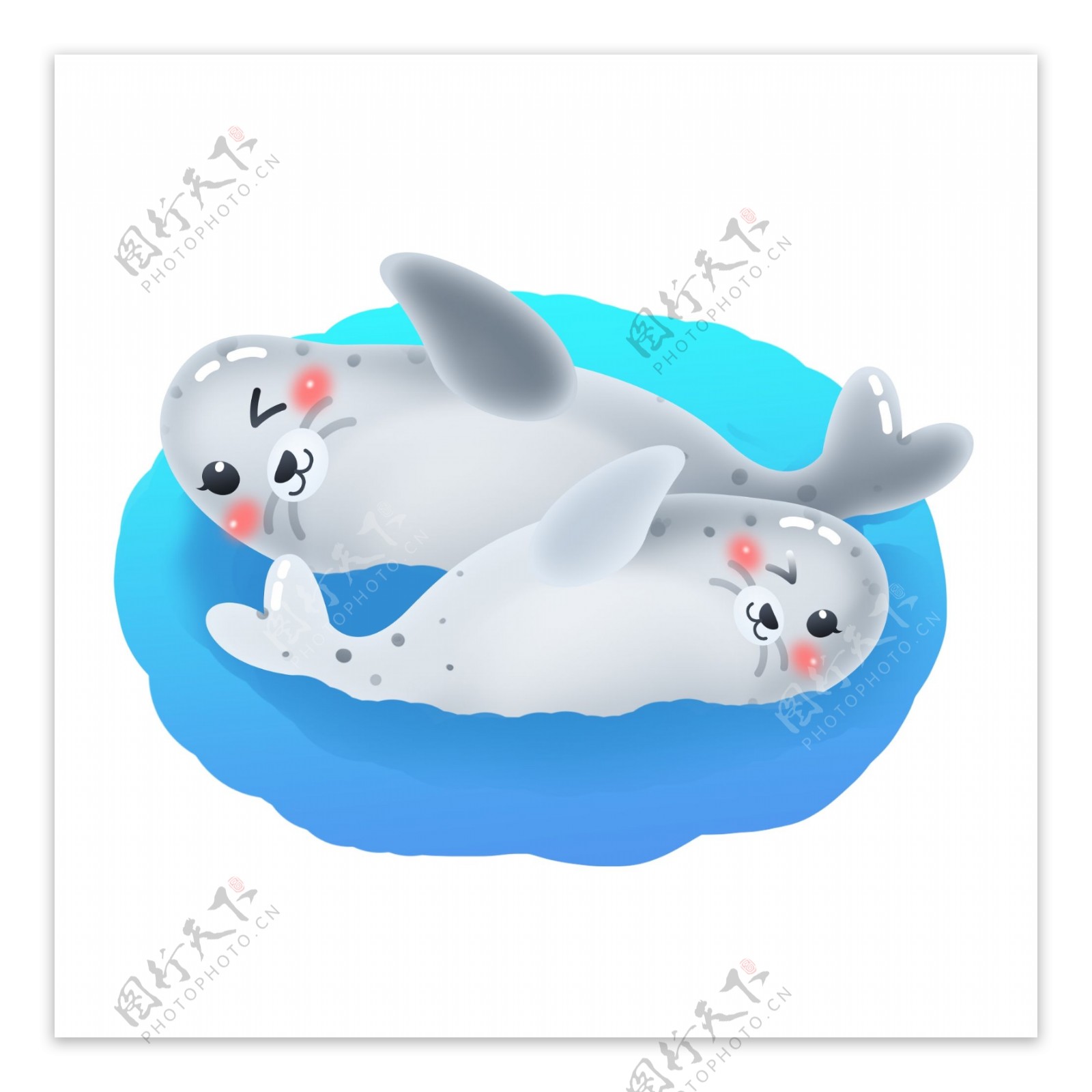 国际海豹节卡通可爱海豹
