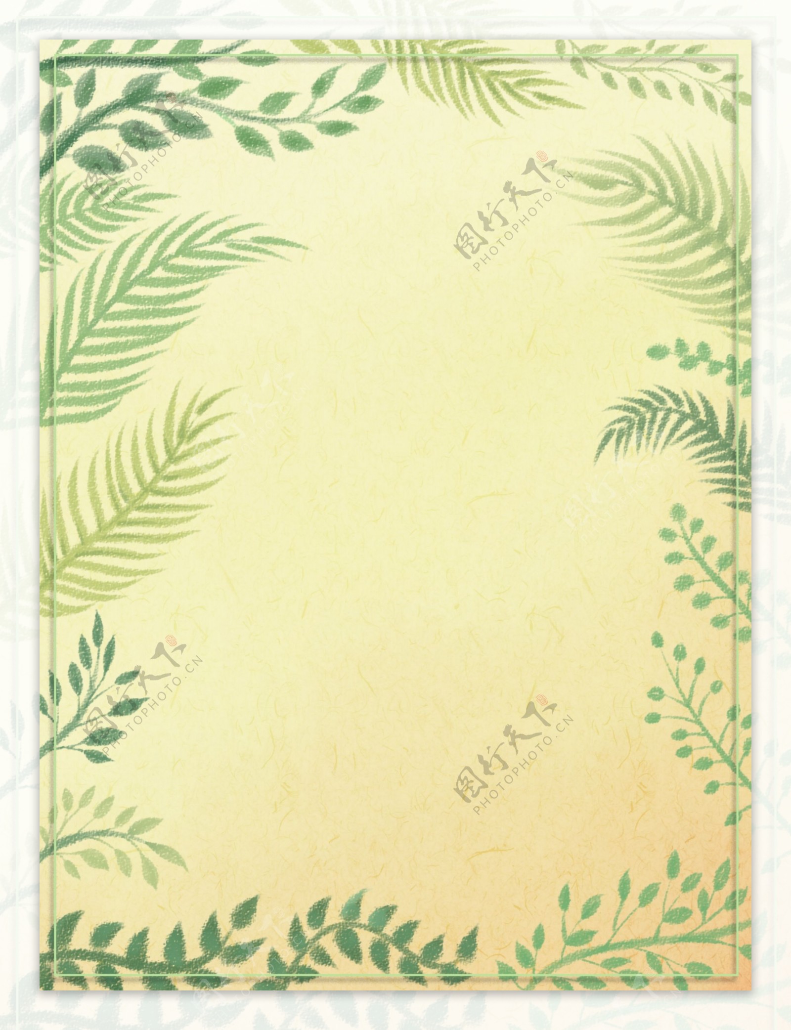纯手绘原创小清新植物花卉叶子边框背景