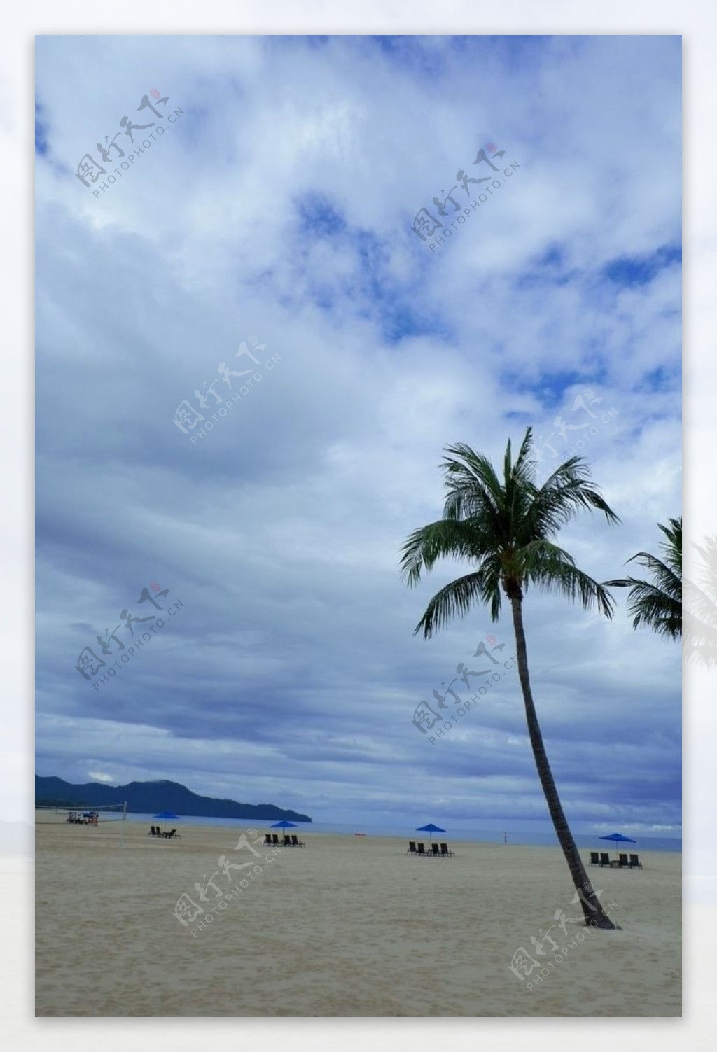 沙滩蓝天白云椰子树