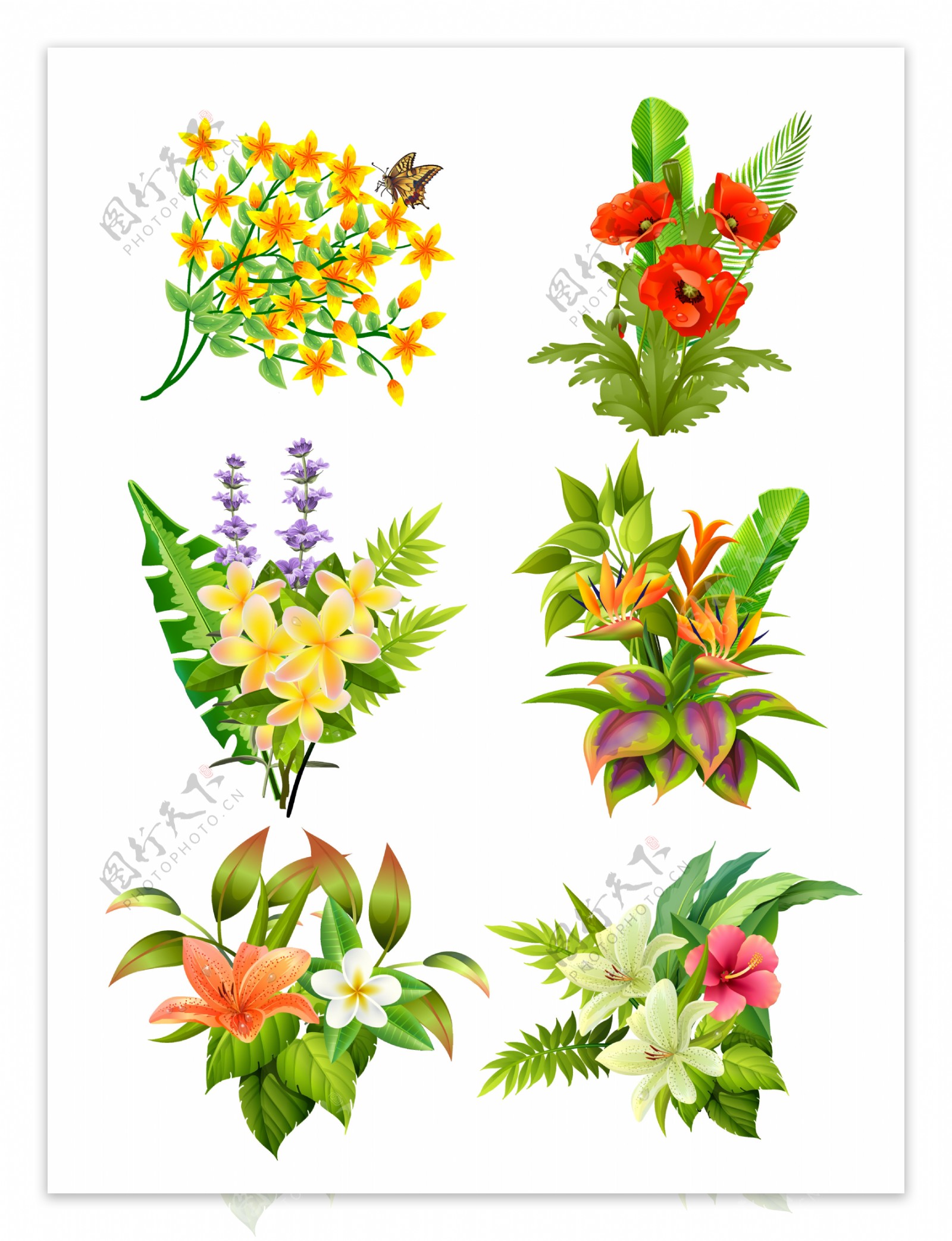 手绘矢量鲜花植物设计元素