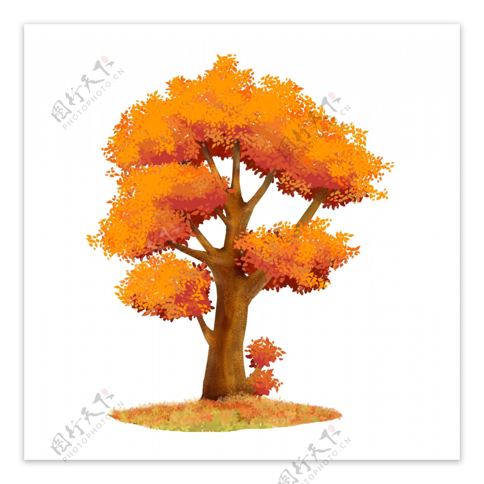 可商用高清手绘银杏树