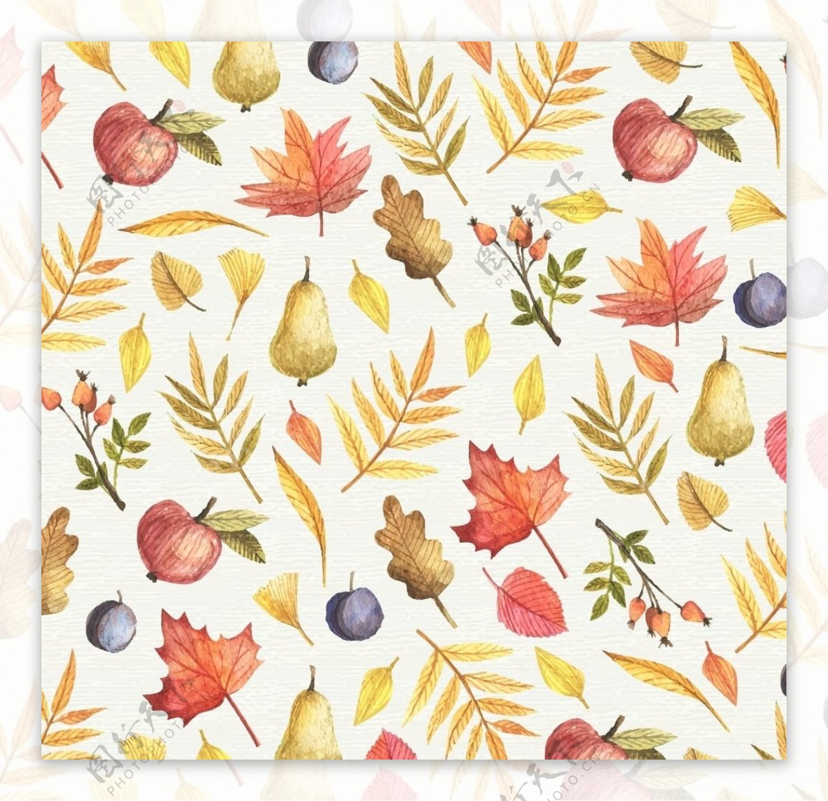 彩绘秋季叶子和水果