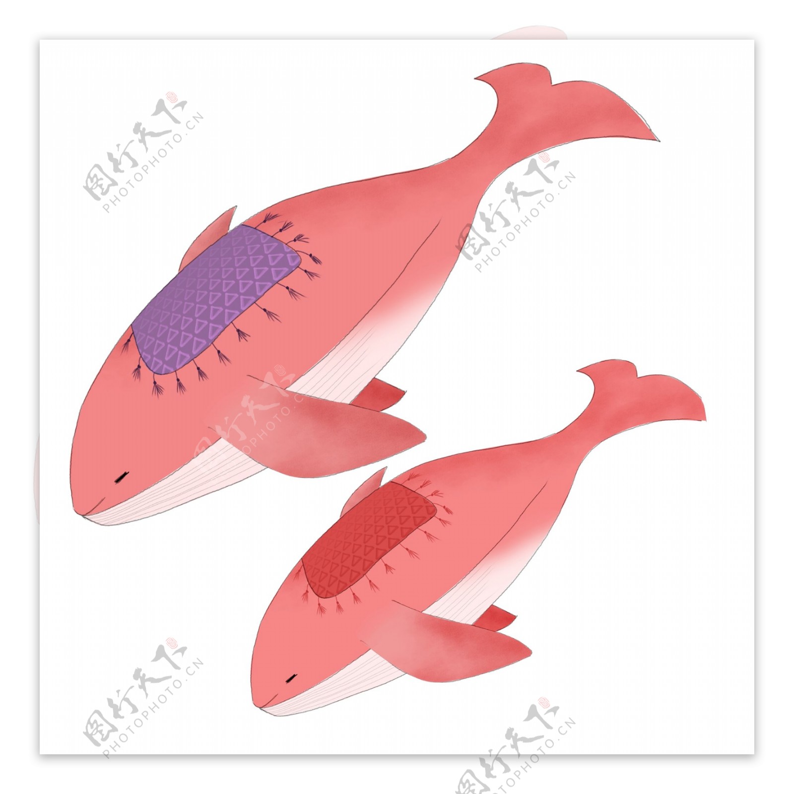 卡通清新粉色鲸鱼透明素材