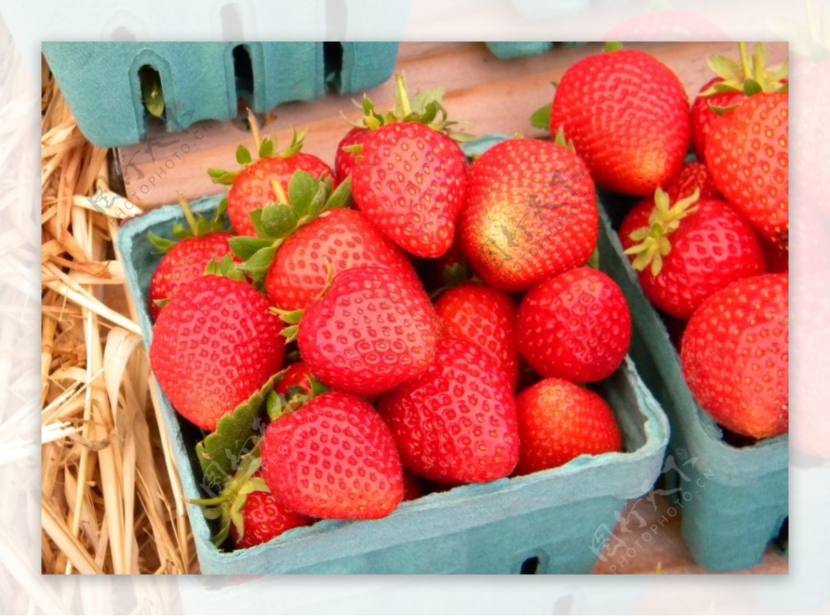 成熟诱人草莓