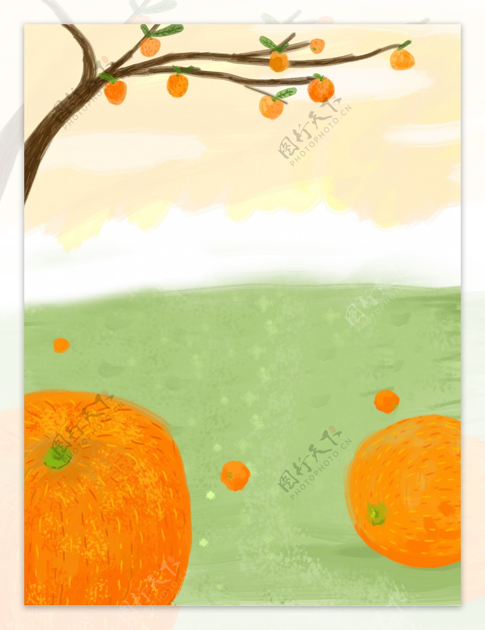 清新风橘子树水果插画背景
