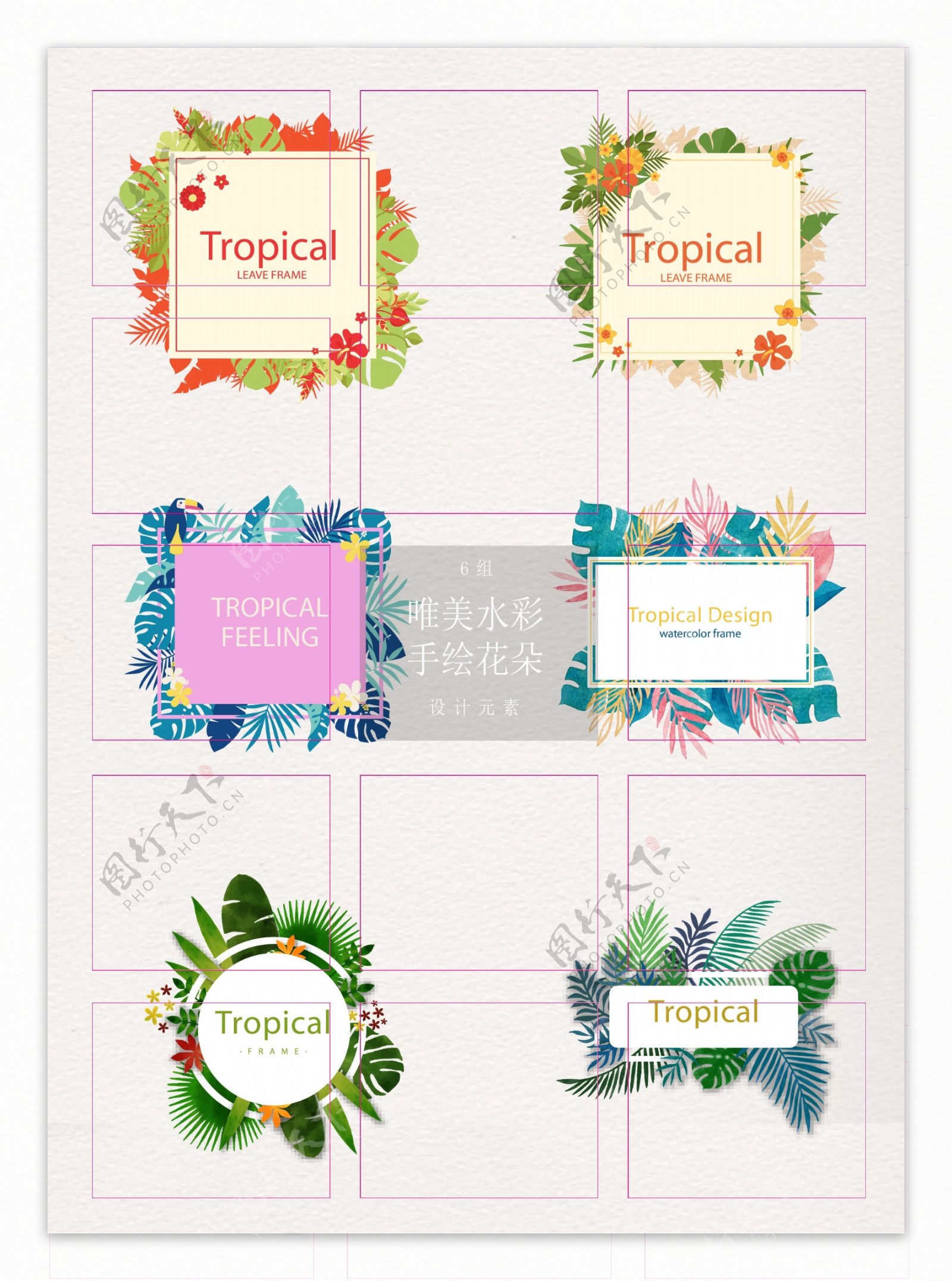 热带植物卡片