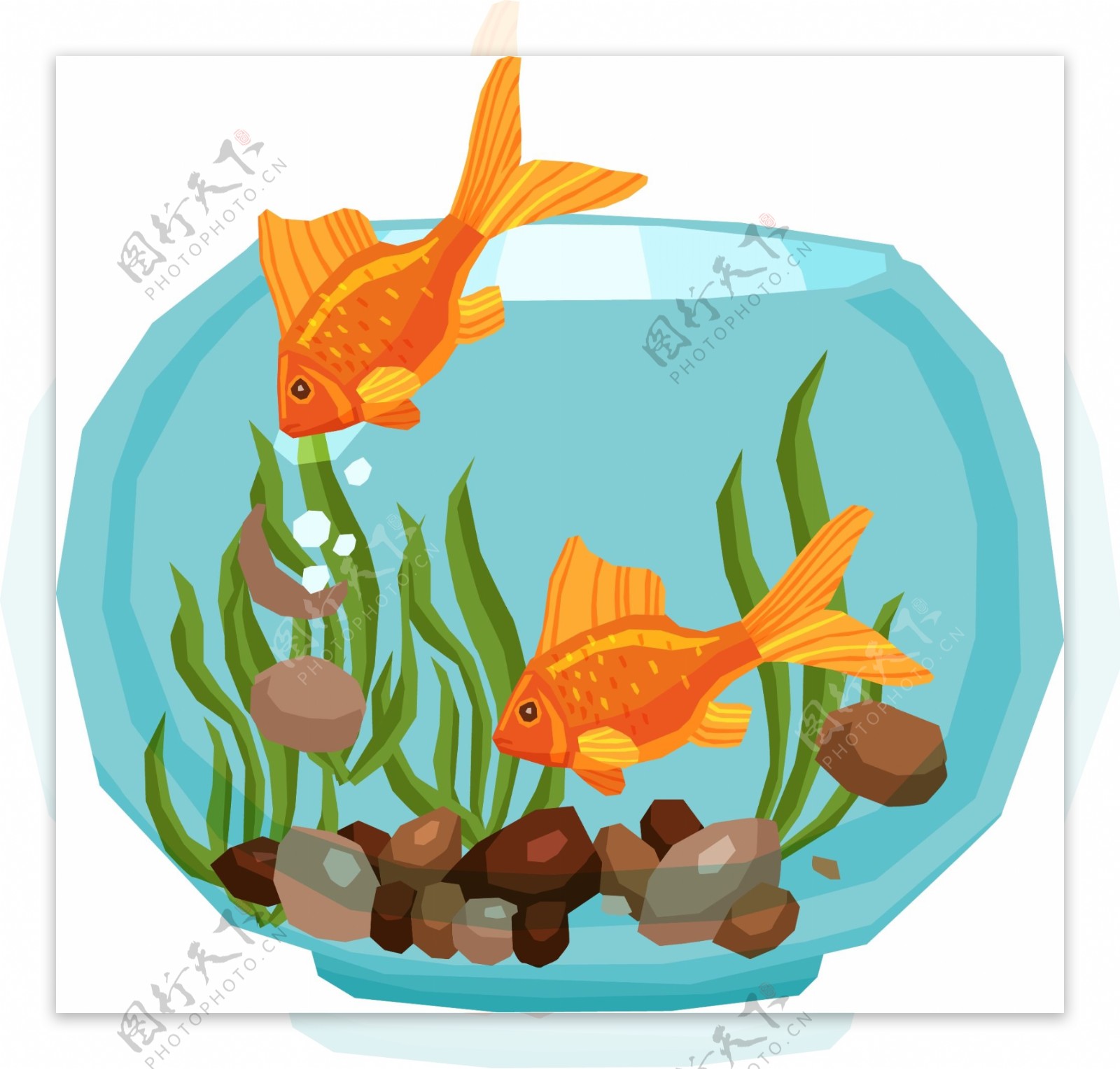 鱼缸装饰图案元素