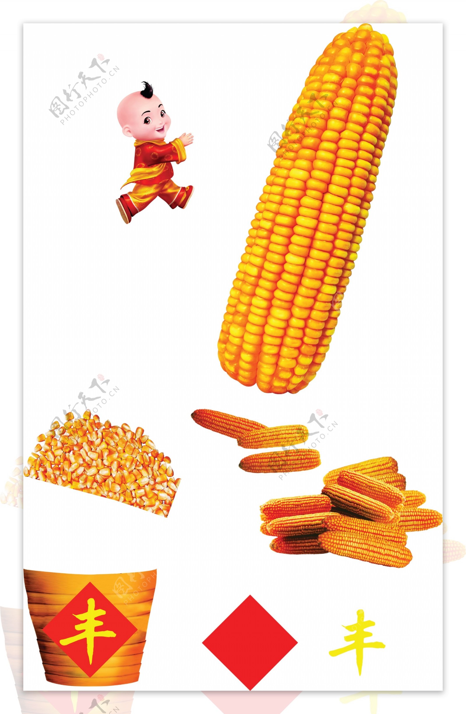 玉米丰收图