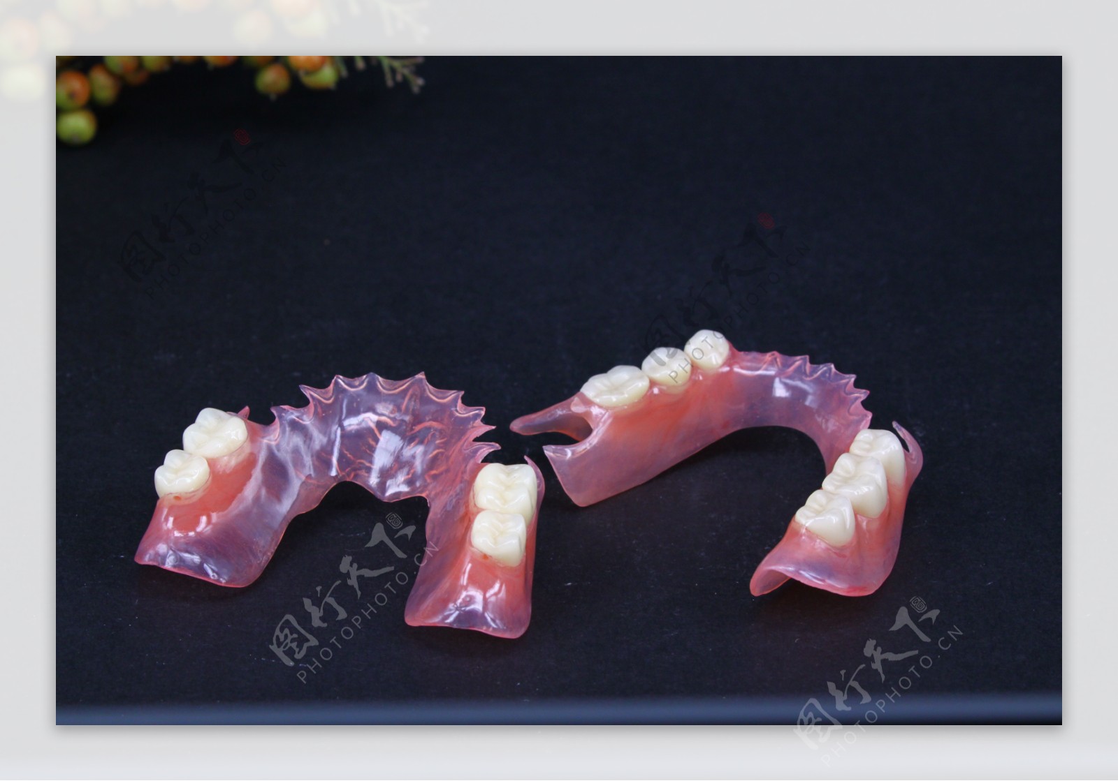 单颗活动义齿图片,单个动义齿,门牙动义齿图片_大山谷图库