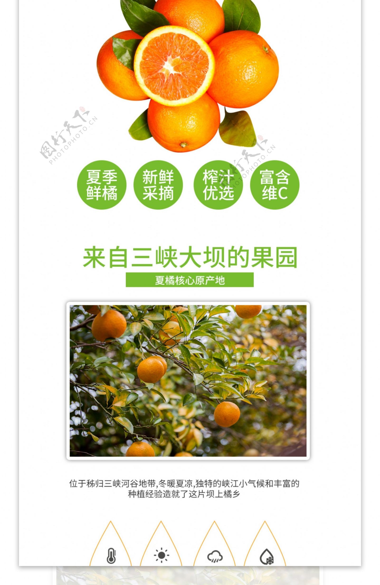 电商淘宝水果生鲜橘子橙子水果详情页