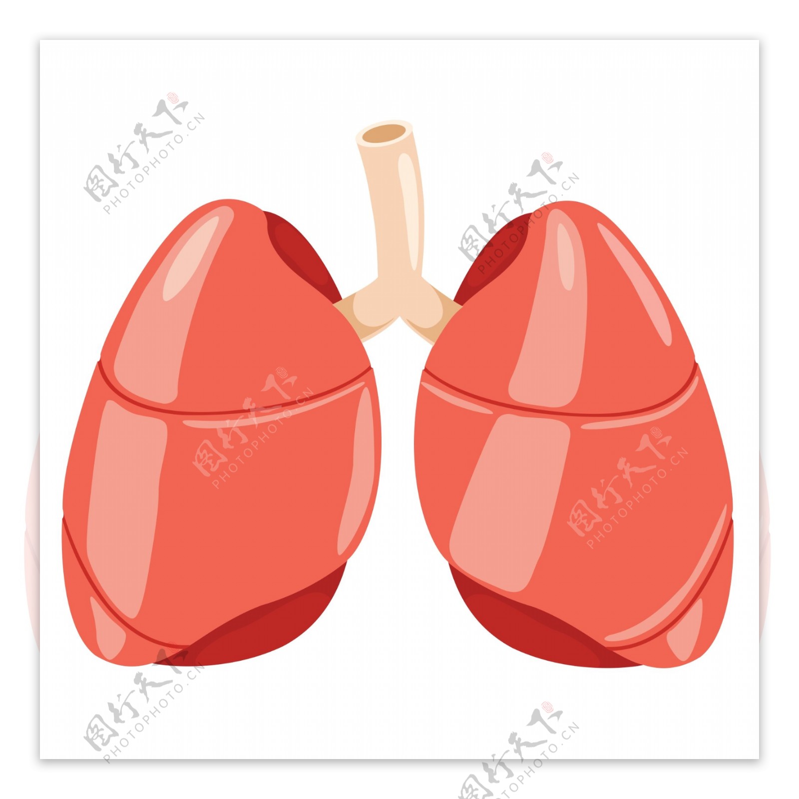 防治结核病日器官肺卡通拟人卡通元素