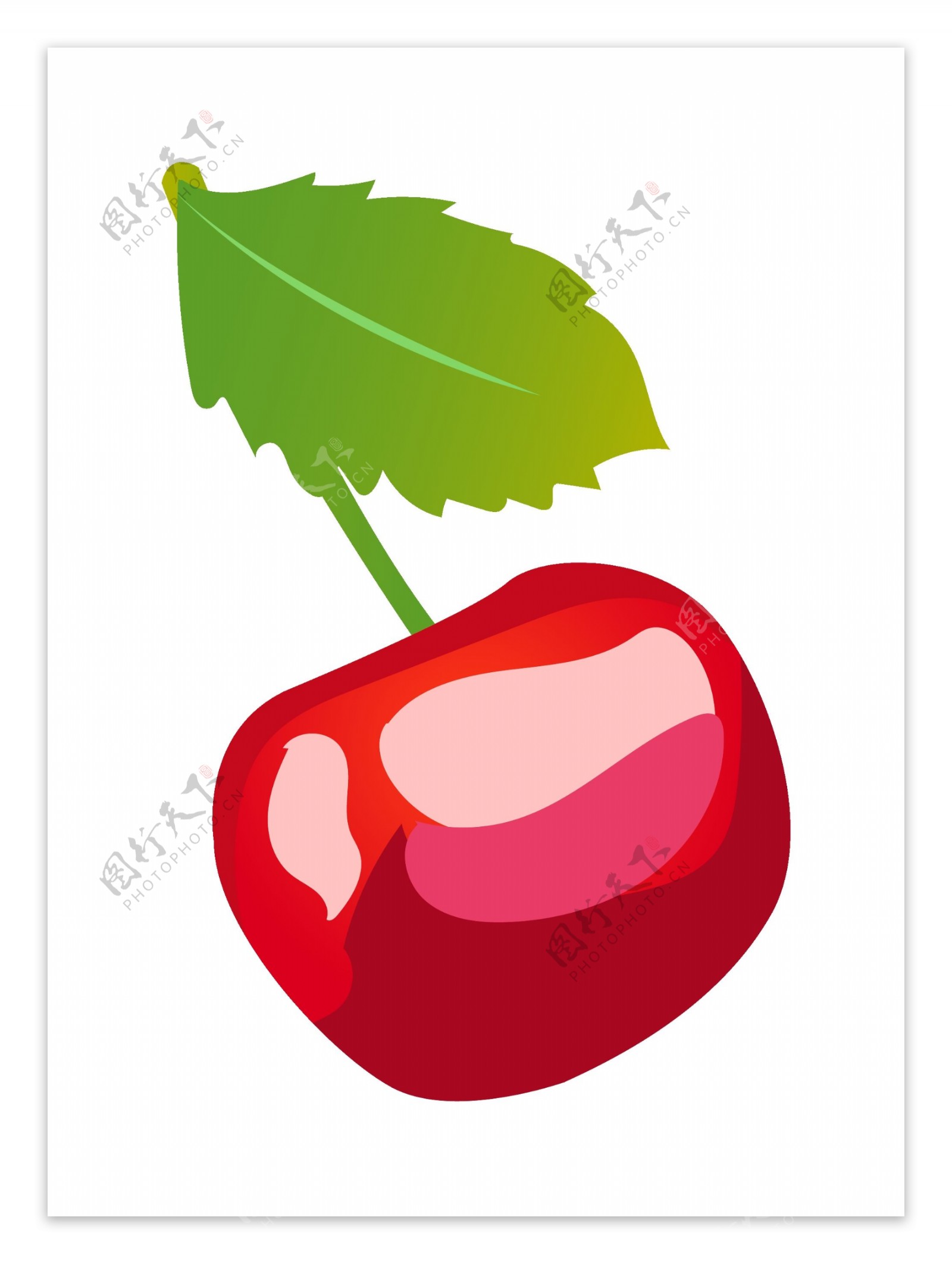 红色的樱桃手绘插画
