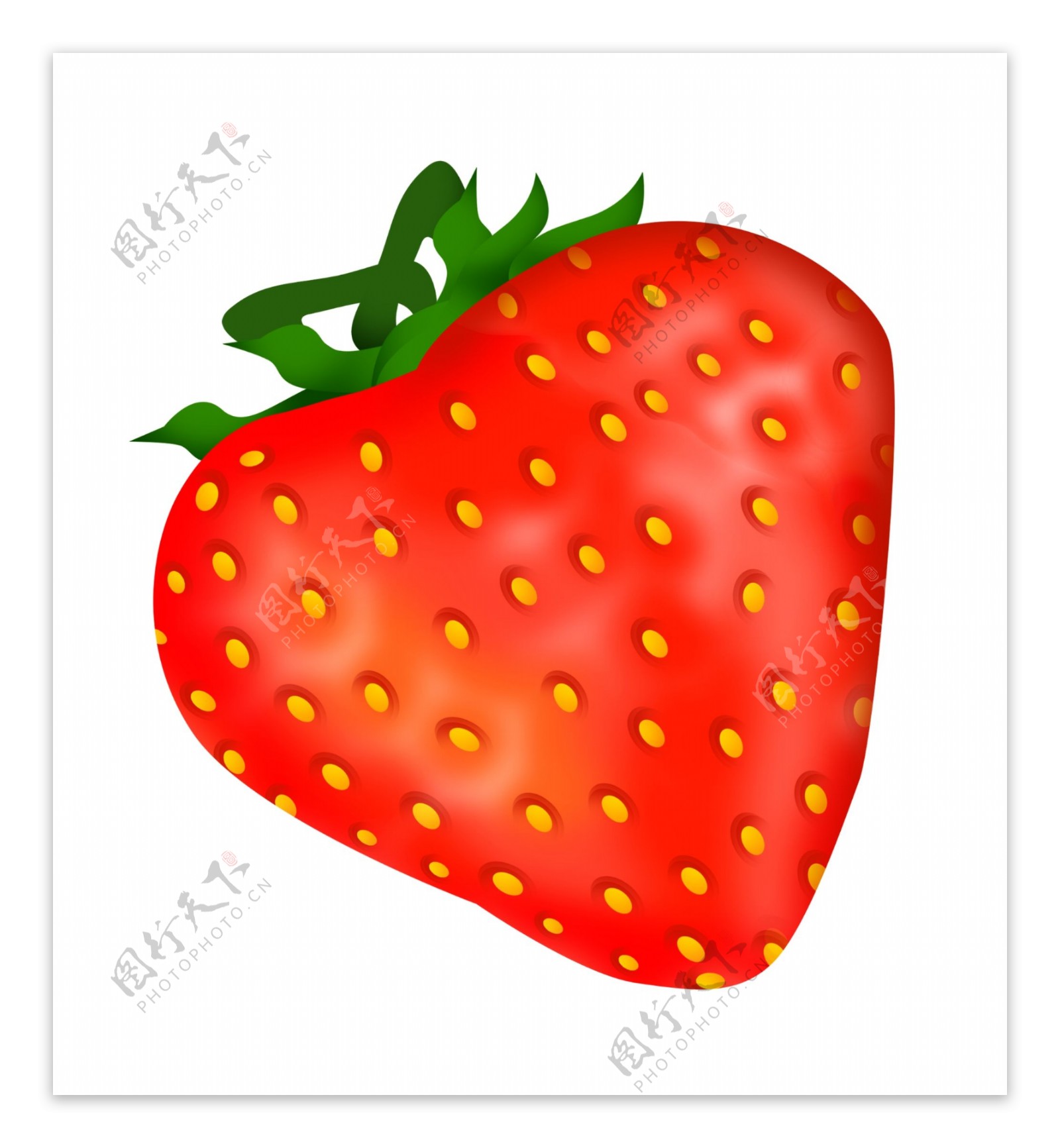 一颗红色的草莓插画