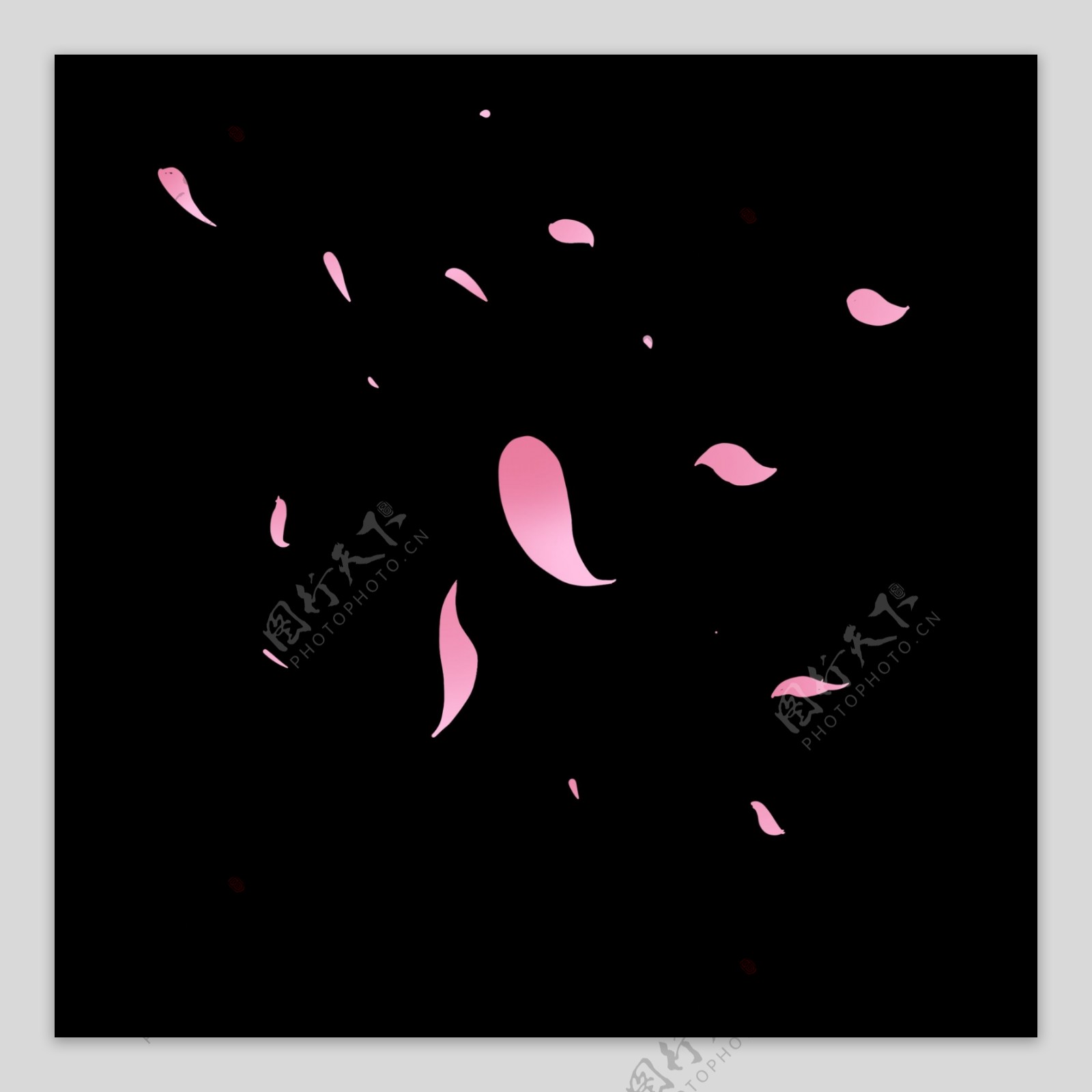 手绘粉红色花瓣装饰