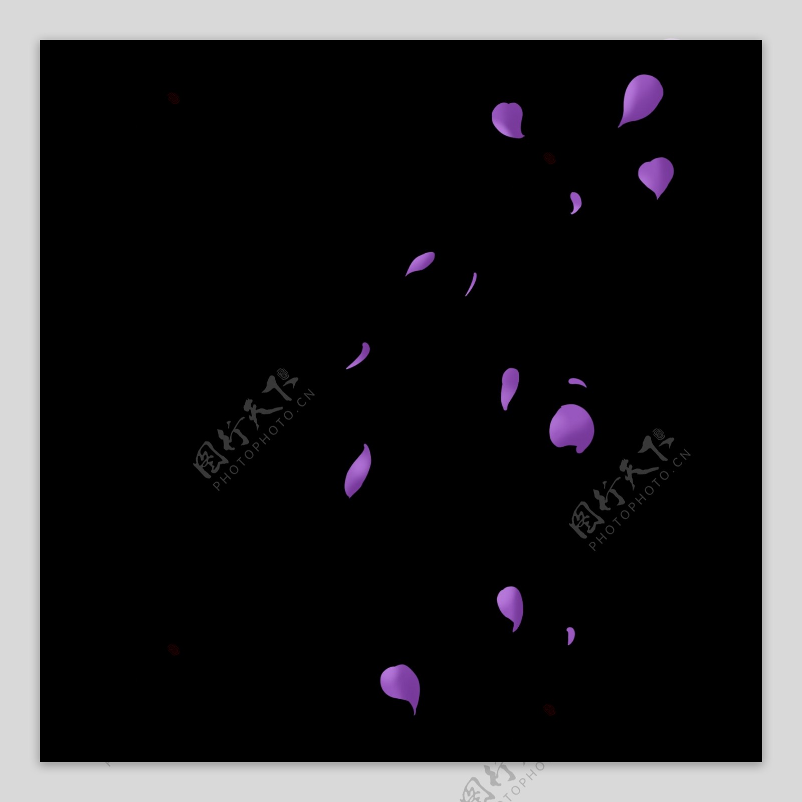 紫色花瓣漂浮元素