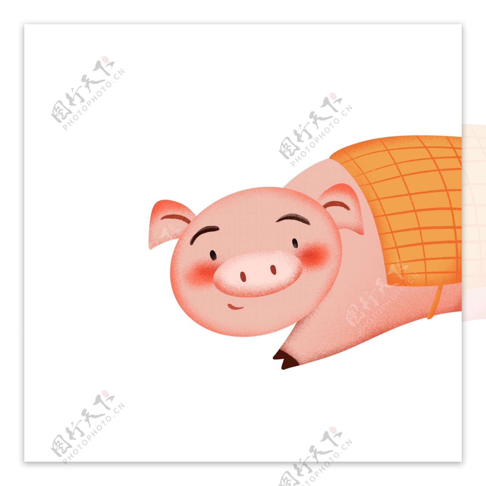 小清新小猪动物卡通手绘