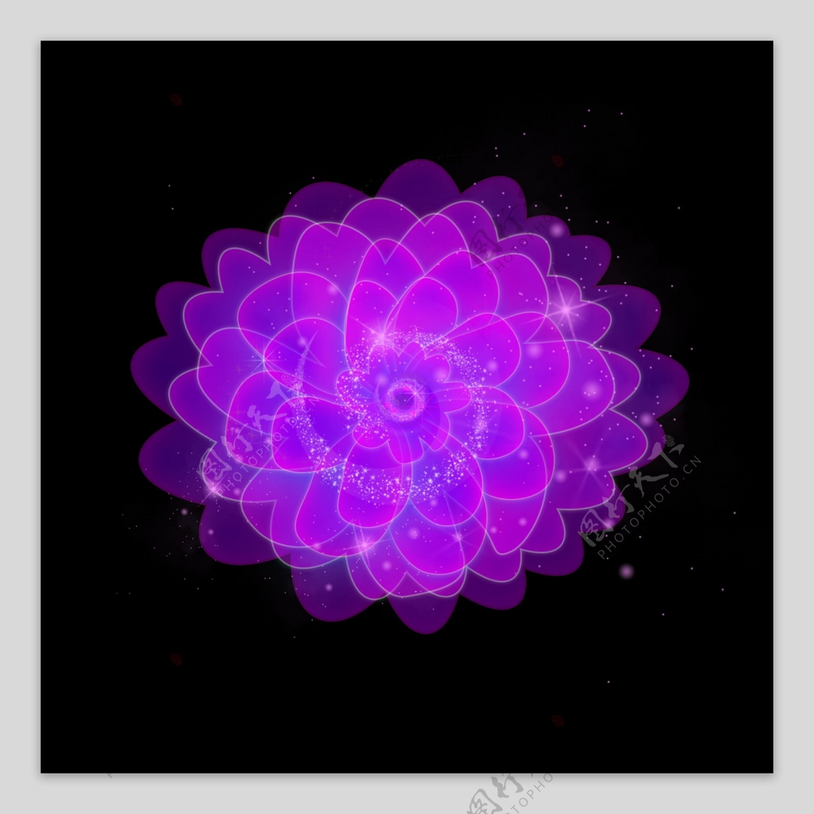 情人节浪漫唯美炫酷紫色荧光花卉效果元素高清图